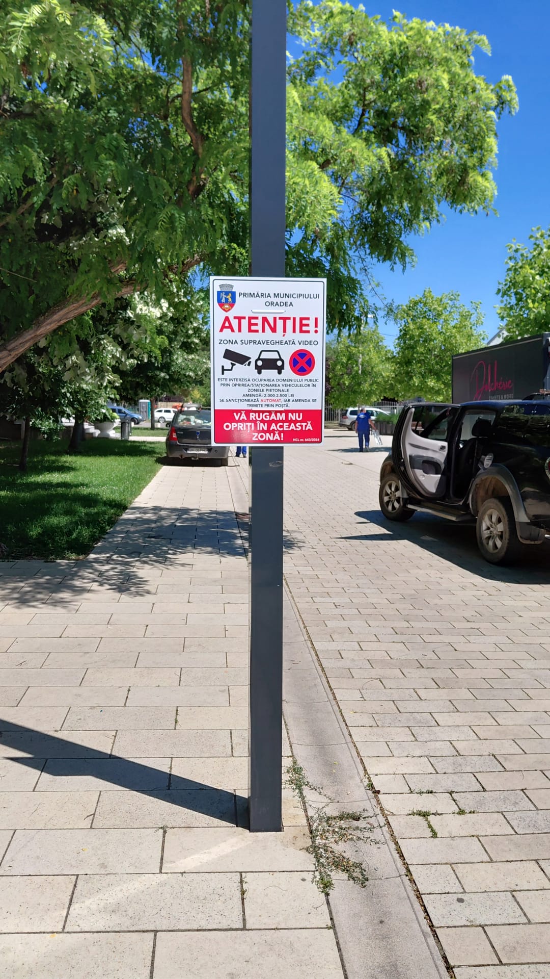 inteligenta artificiala aprcari oradea (11)