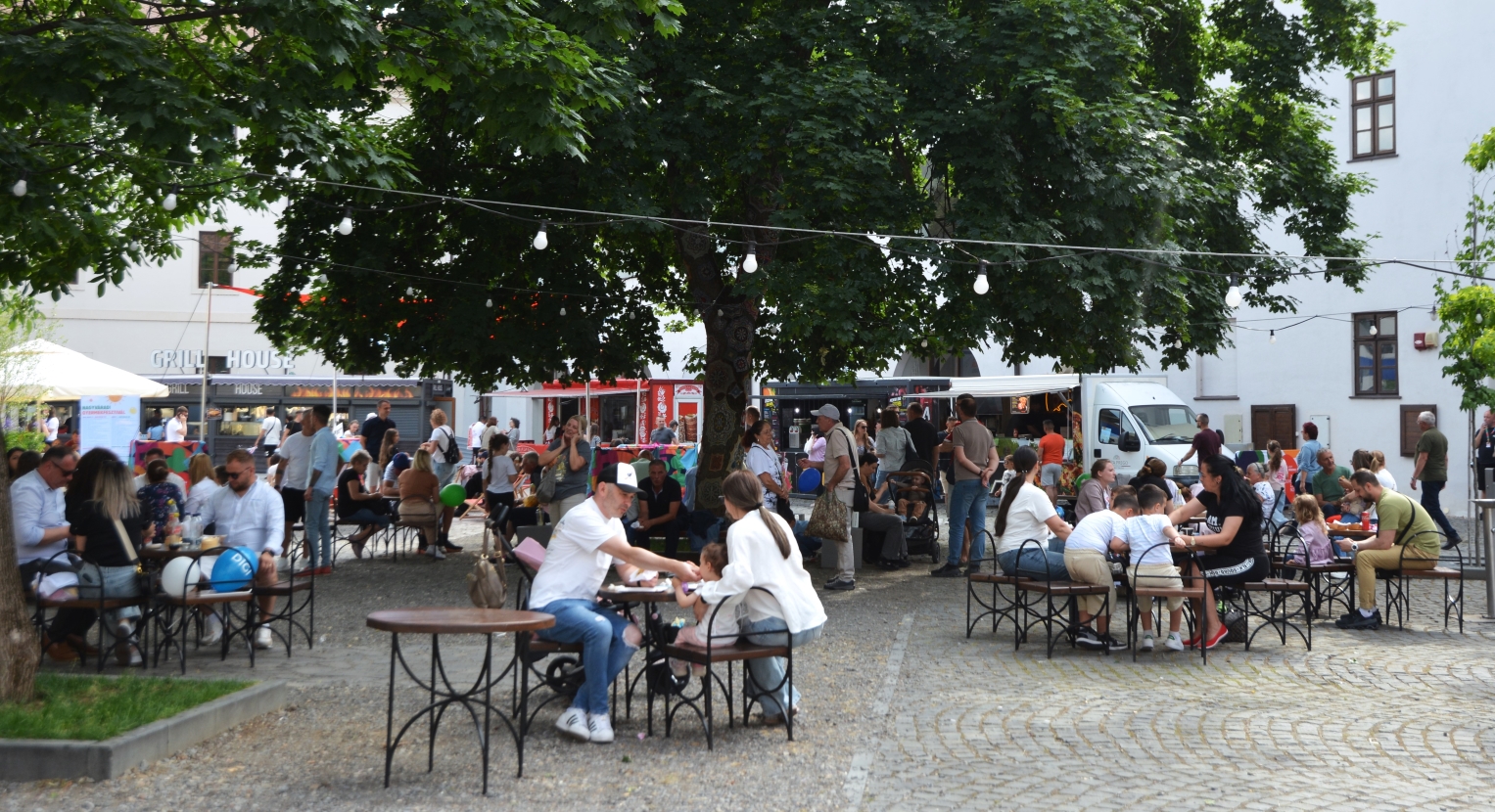 festivalul copiilor Oradea (13)