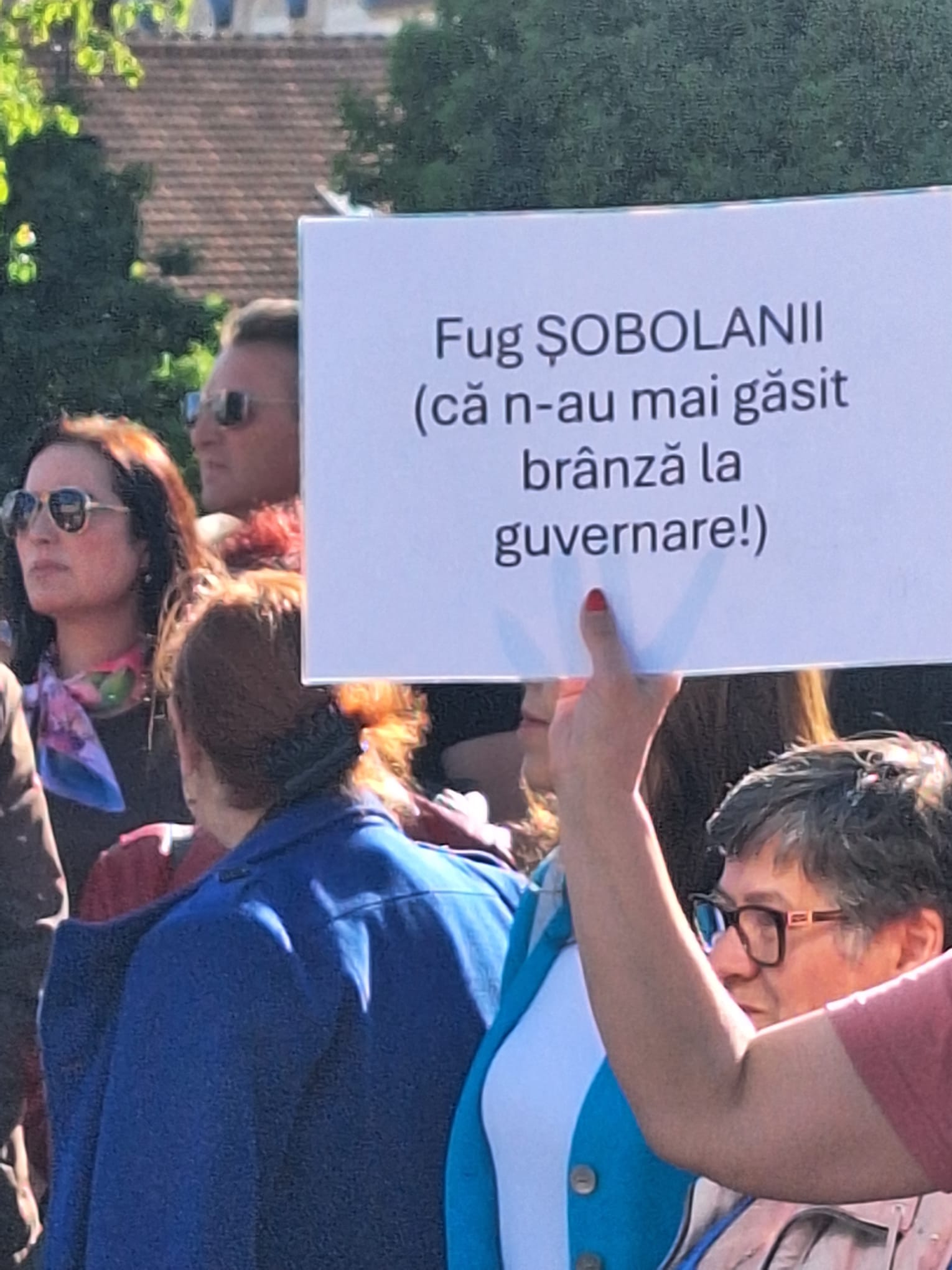 miting-sustinerebolo (27)