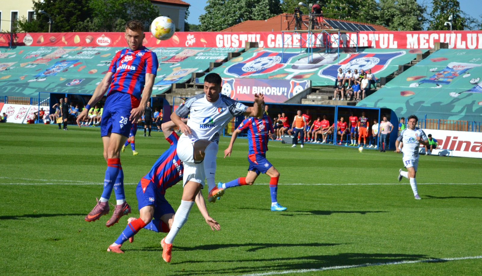 fc bihor (12)
