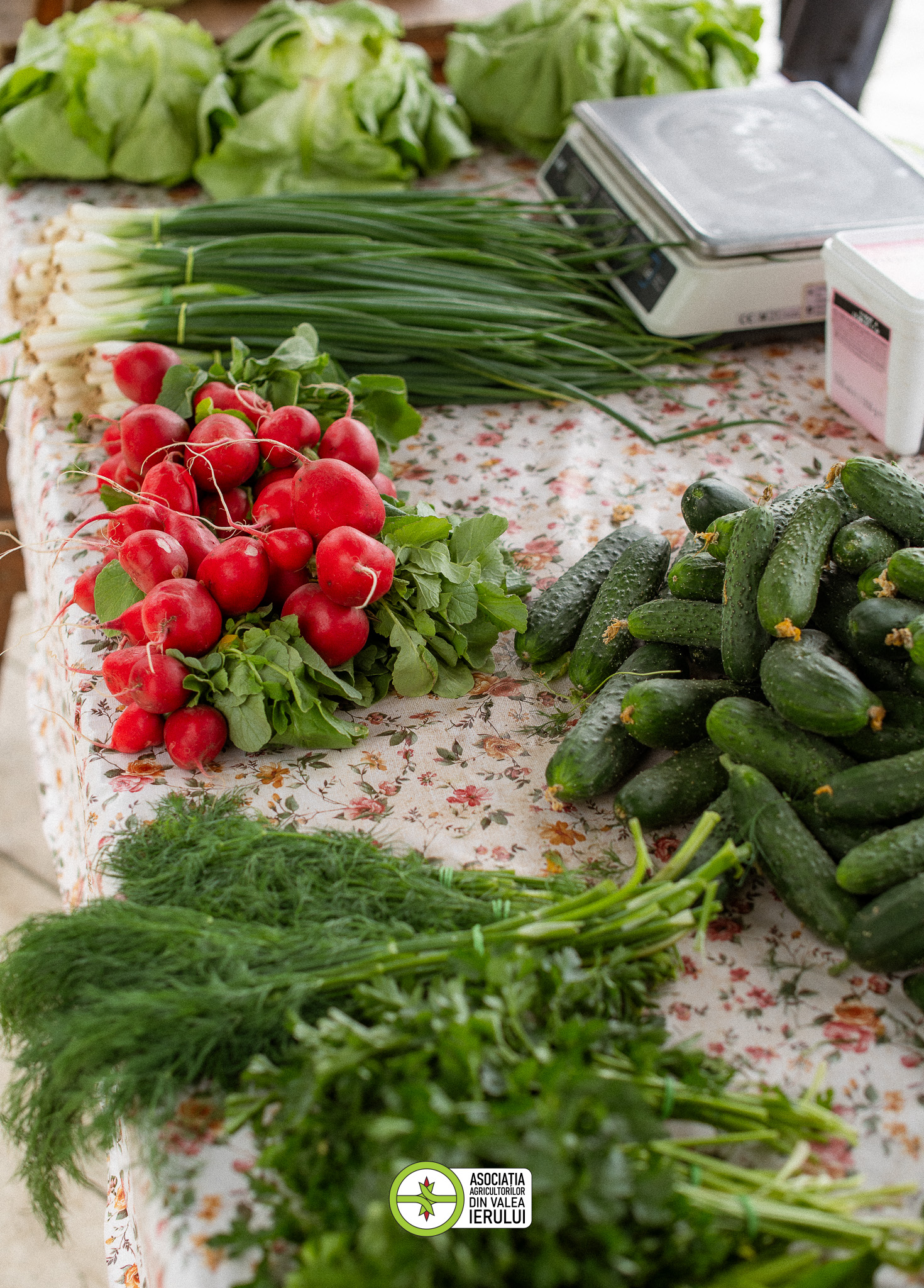 legume_piata_volanta_Oradea_Bihor