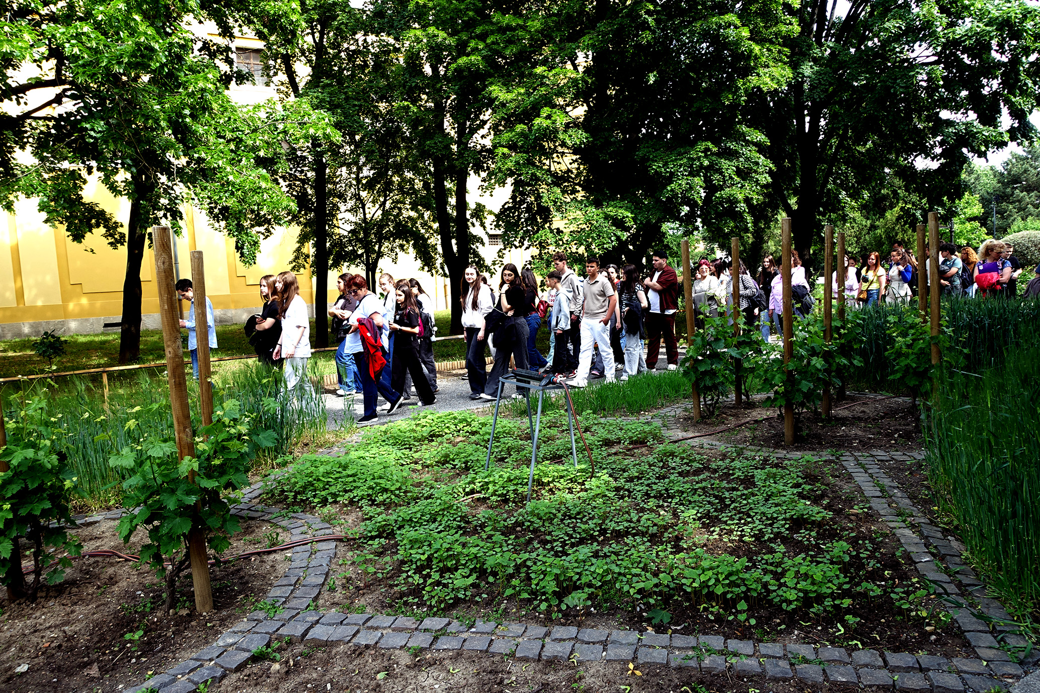 DSC02845