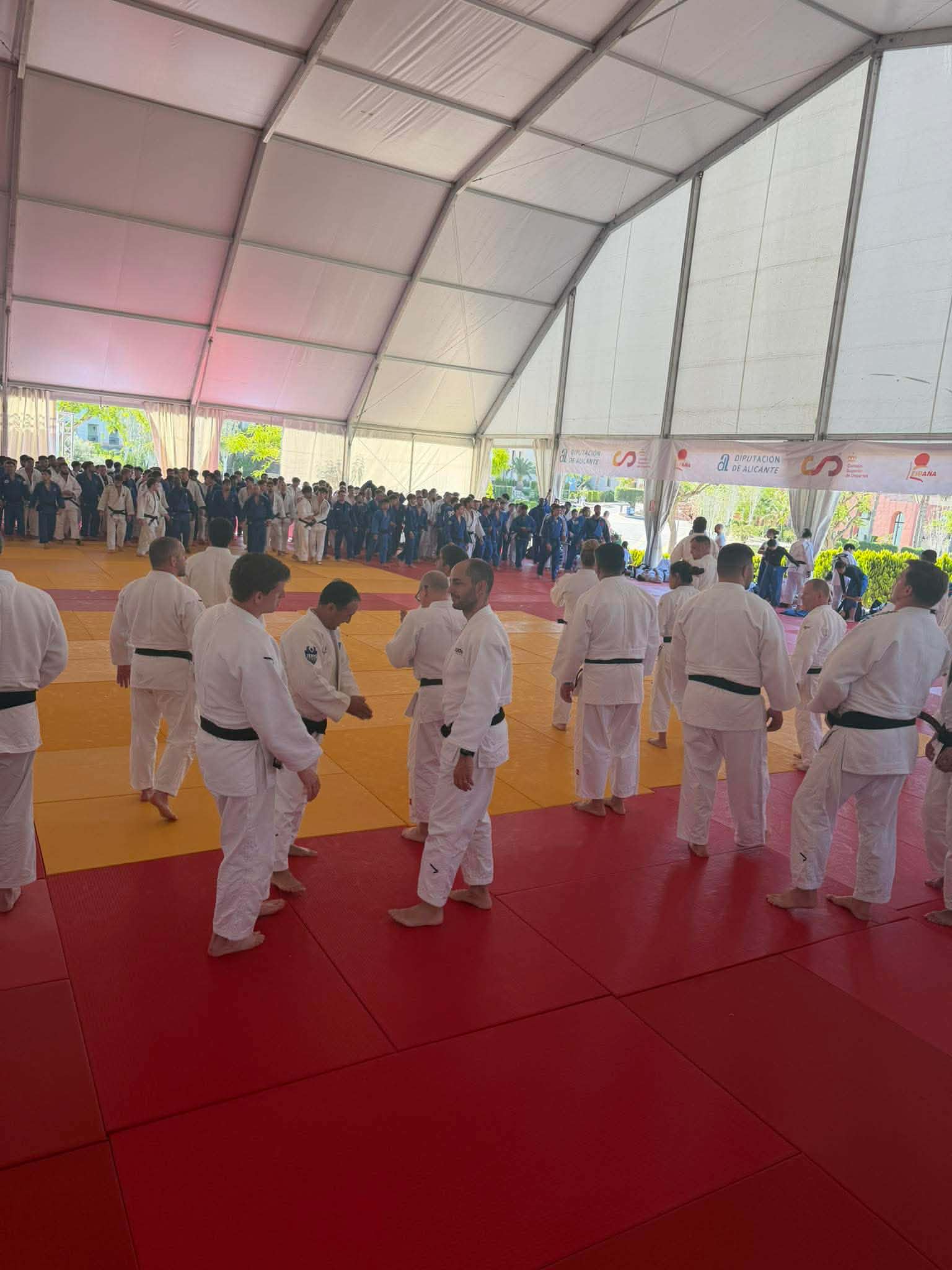 judoka-judo-oradea-lotul-national