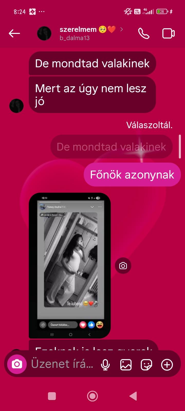 mesaje telefon Alisia crima Parhida (2)