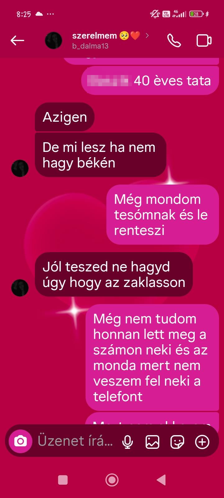 mesaje telefon Alisia crima Parhida (3)