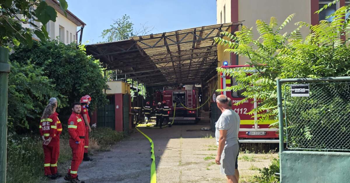 Incendiu la o hală aflată pe strada Războieni din Oradea - BIHON