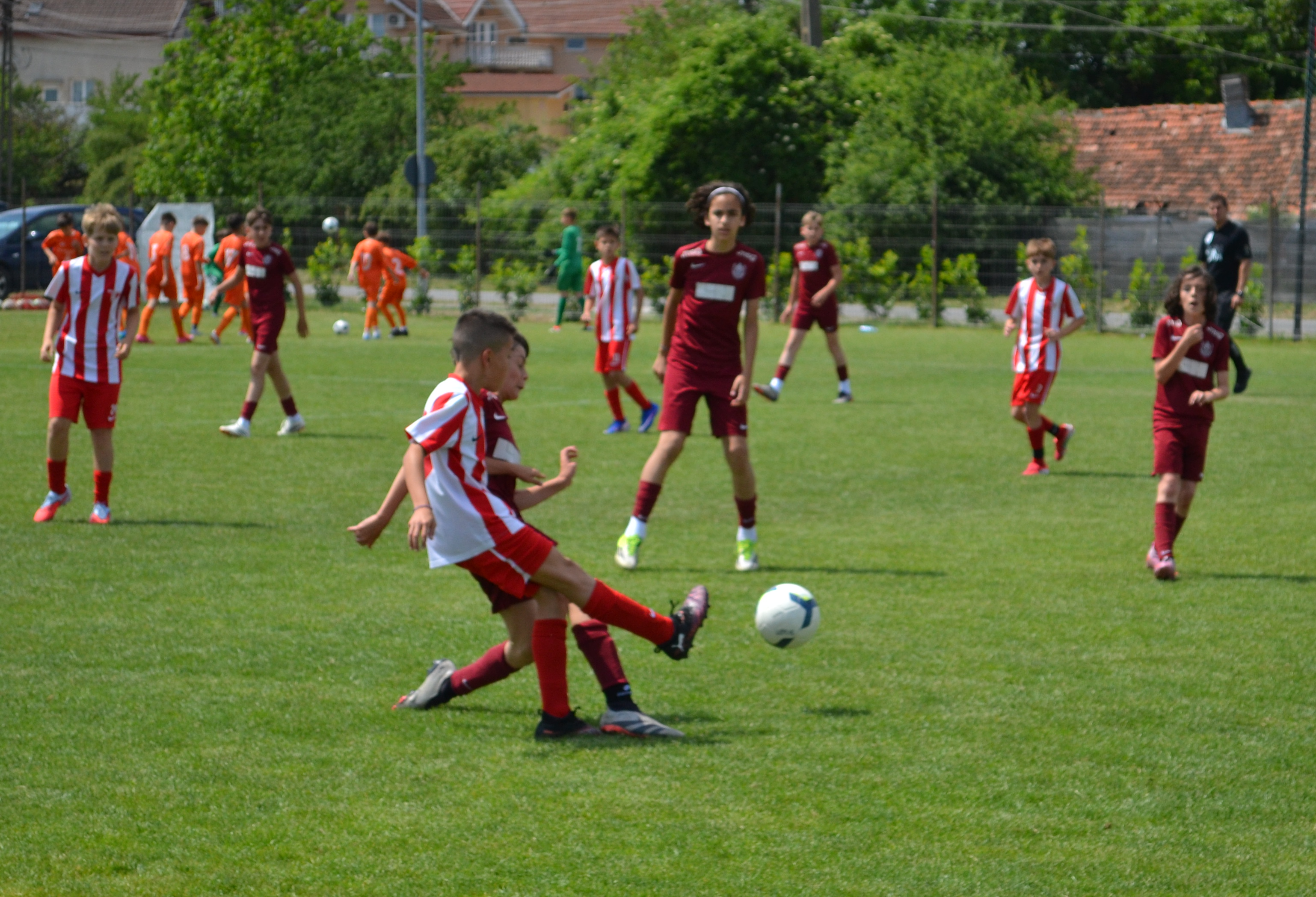 cupa15