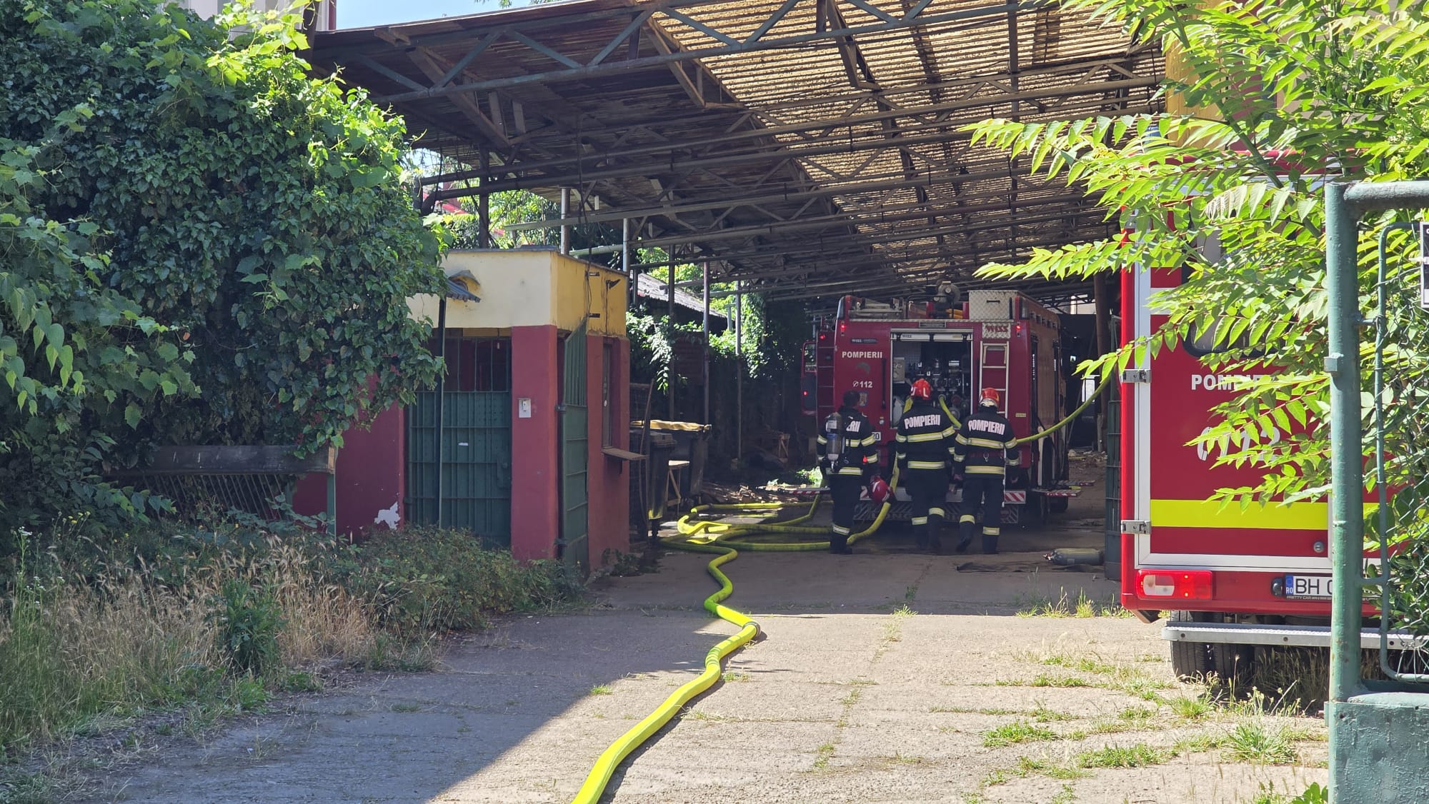 incendiu (4)