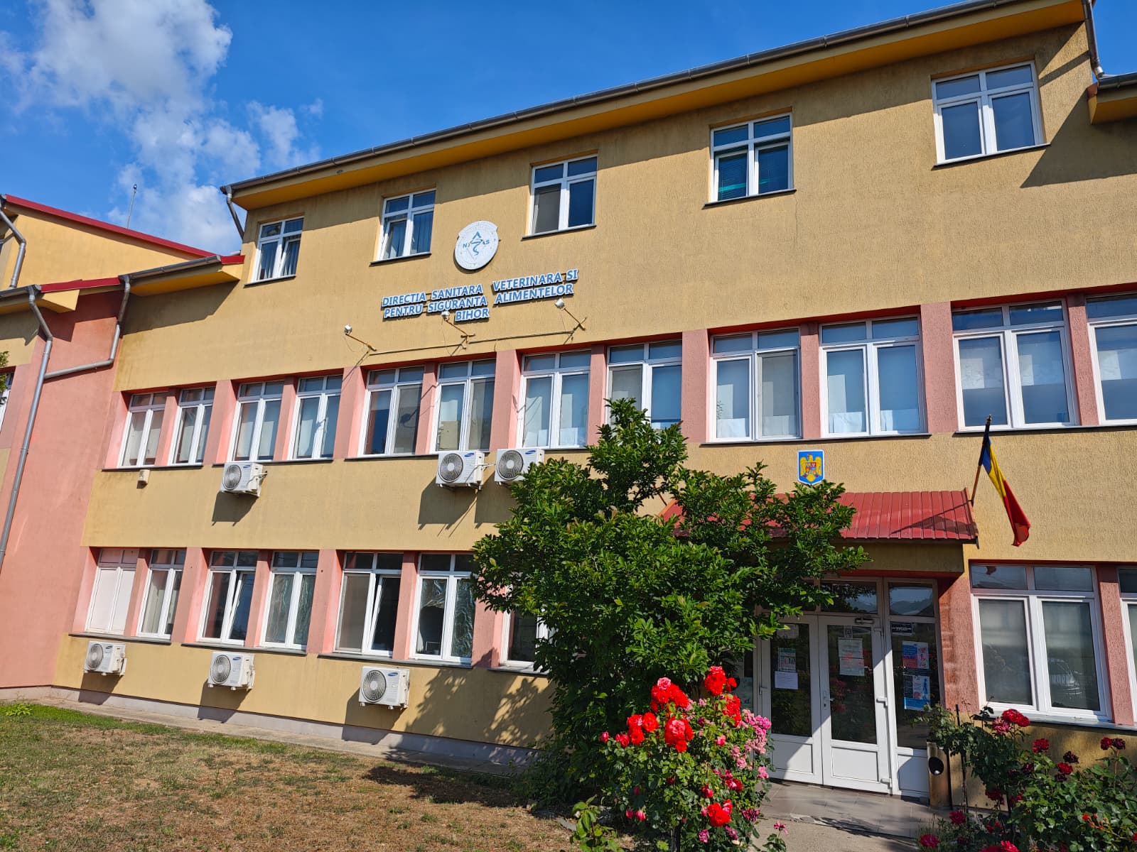 DSVSA Bihor 3