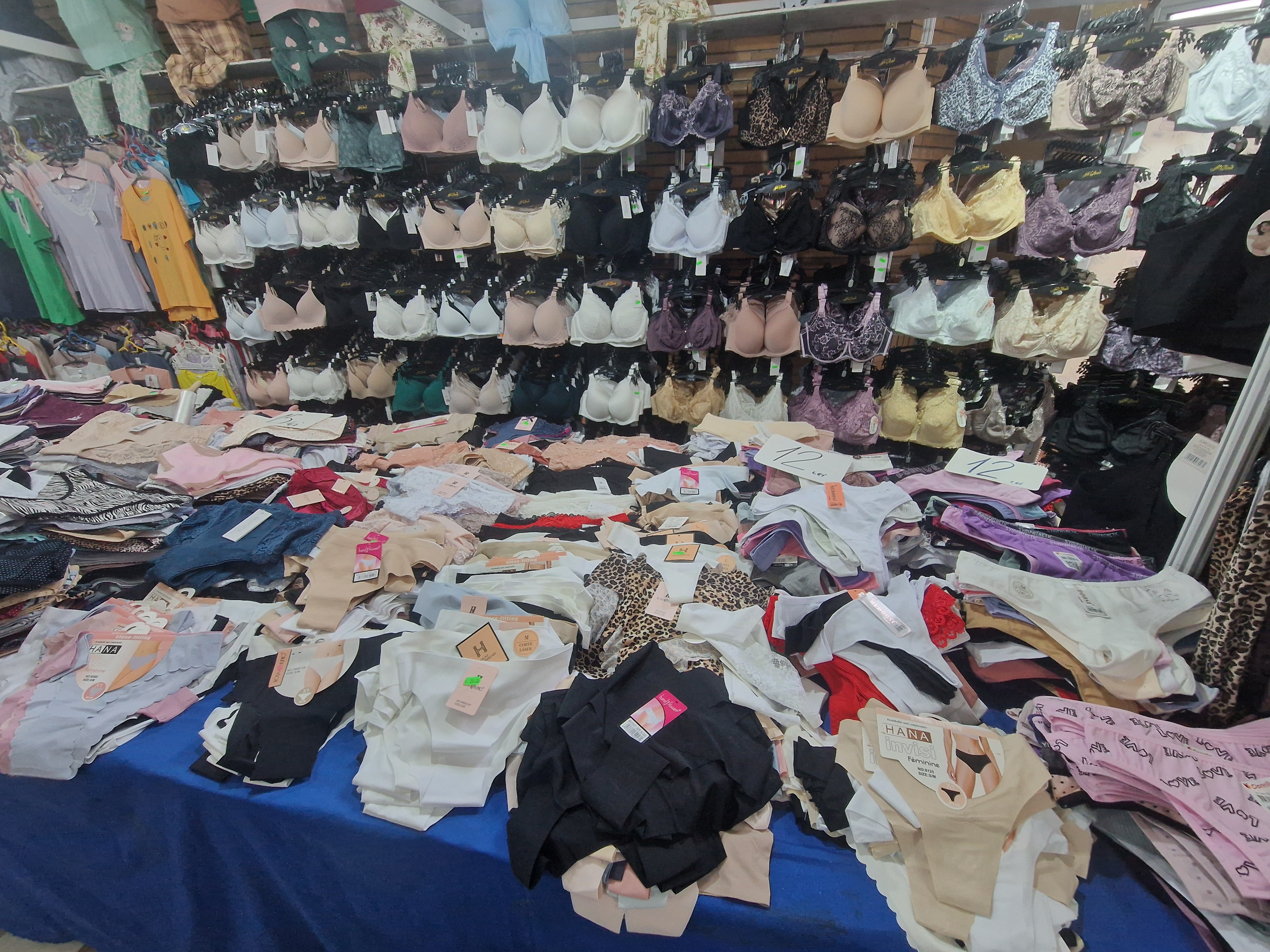 cavi expo (38)