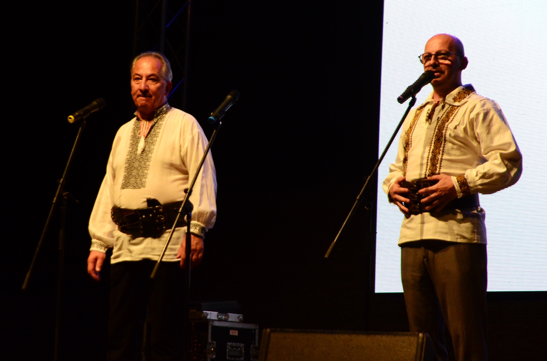 Gala Comediei cu grupul Divertis (65)