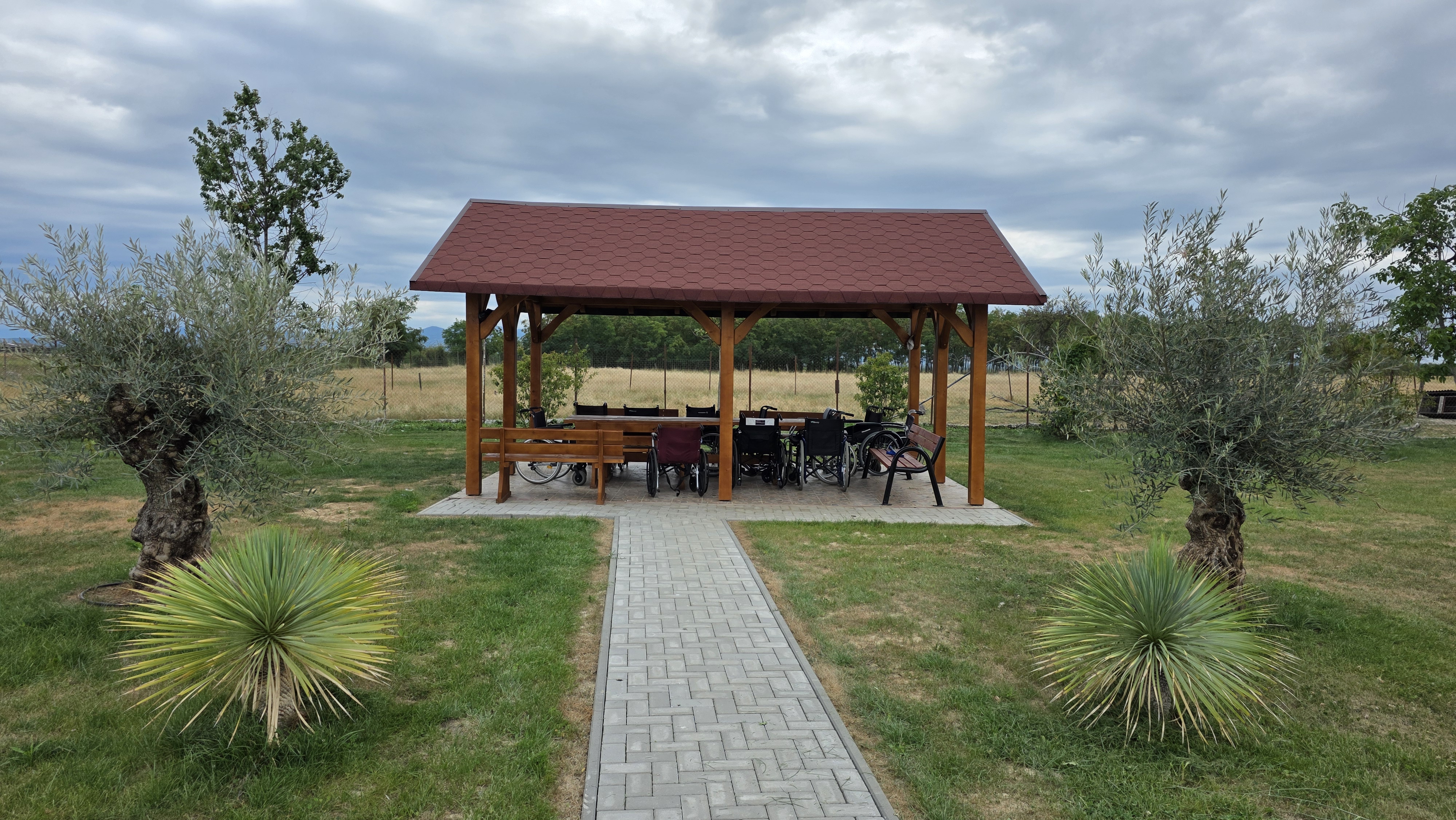 drumbrava-viorel-pasca (11)