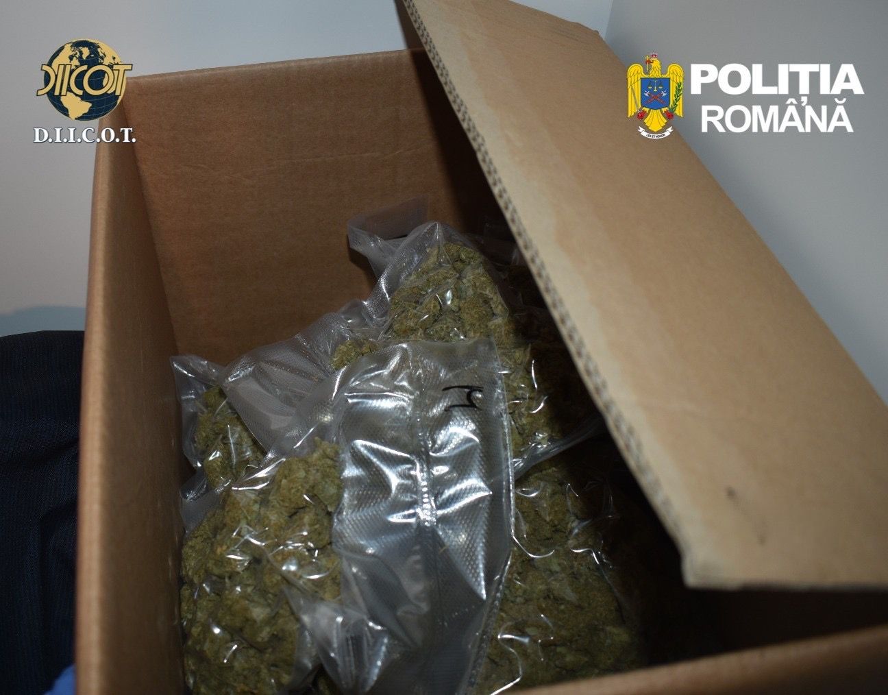 droguri găsite percheziție2