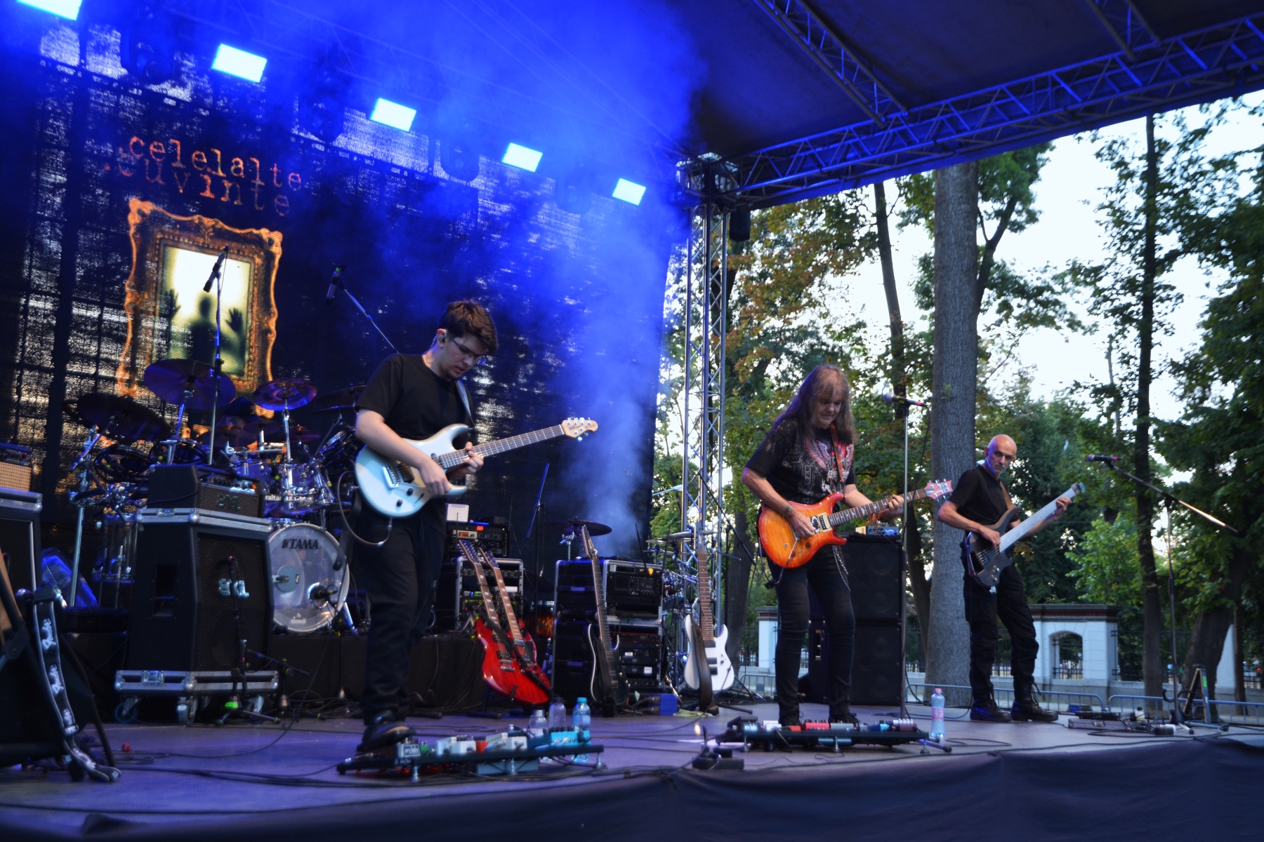 Concert Celelalte Cuvinte la Muzeul Ţării Crişurilor, Foto Camelia Buşu (2)
