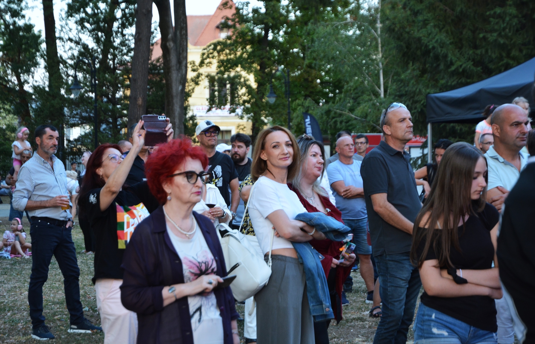 Concert Celelalte Cuvinte la Muzeul Ţării Crişurilor, Foto Camelia Buşu (11)