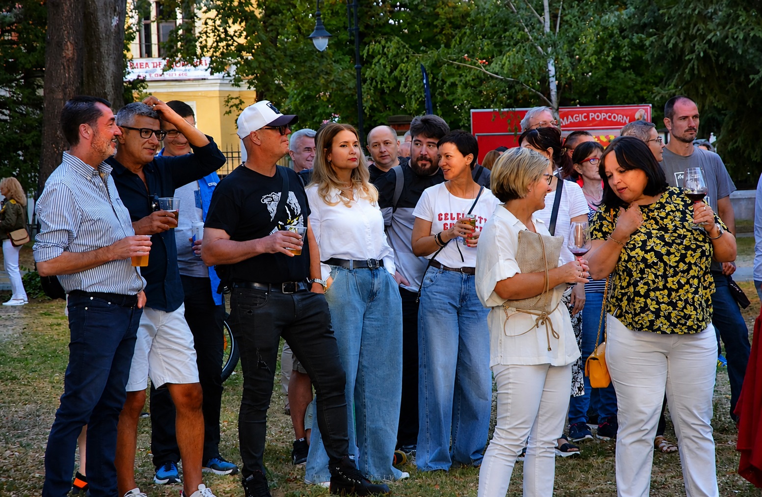 Concert Celelalte Cuvinte la Muzeul Ţării Crişurilor, Foto Camelia Buşu (21)