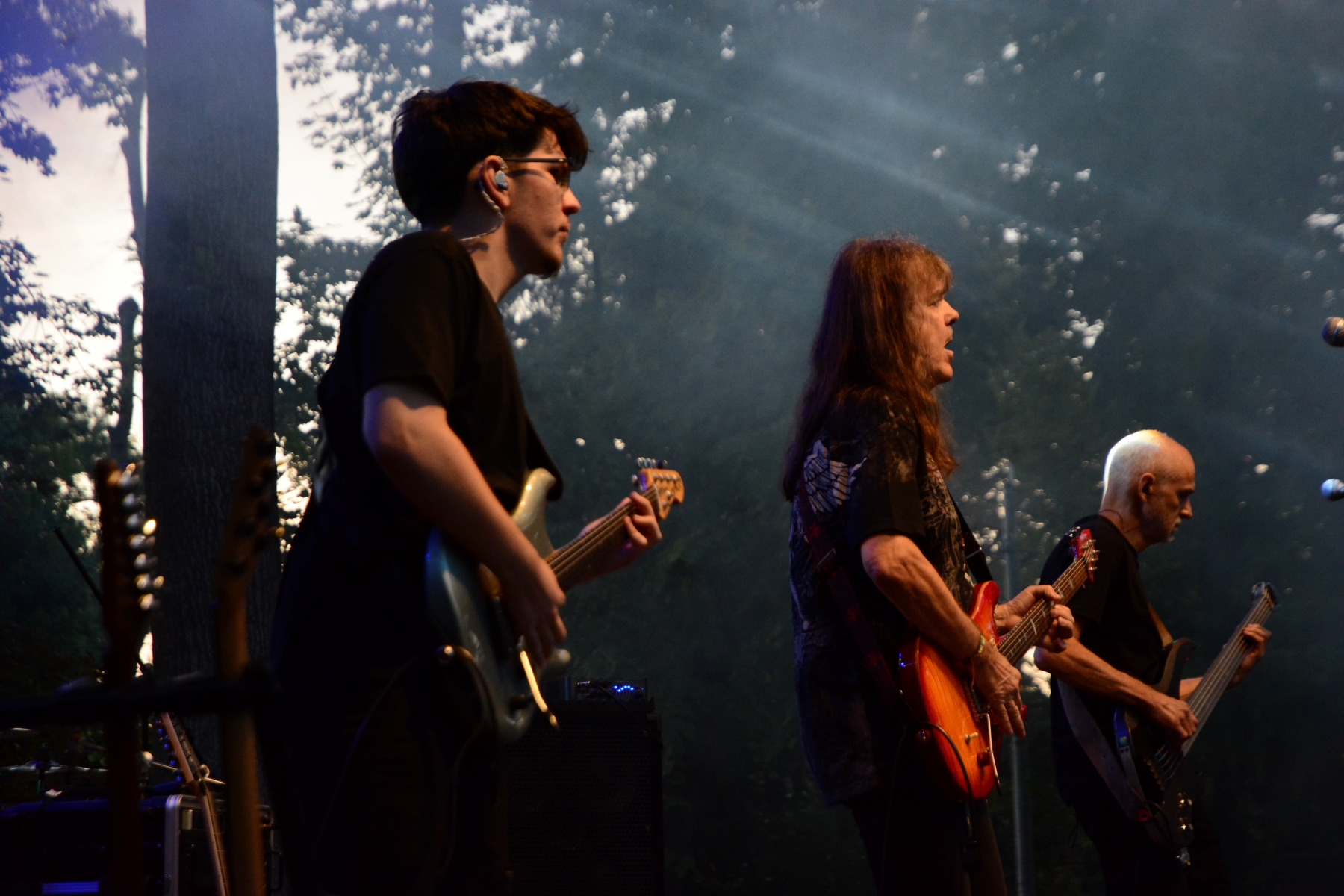 Concert Celelalte Cuvinte la Muzeul Ţării Crişurilor, Foto Camelia Buşu (28)