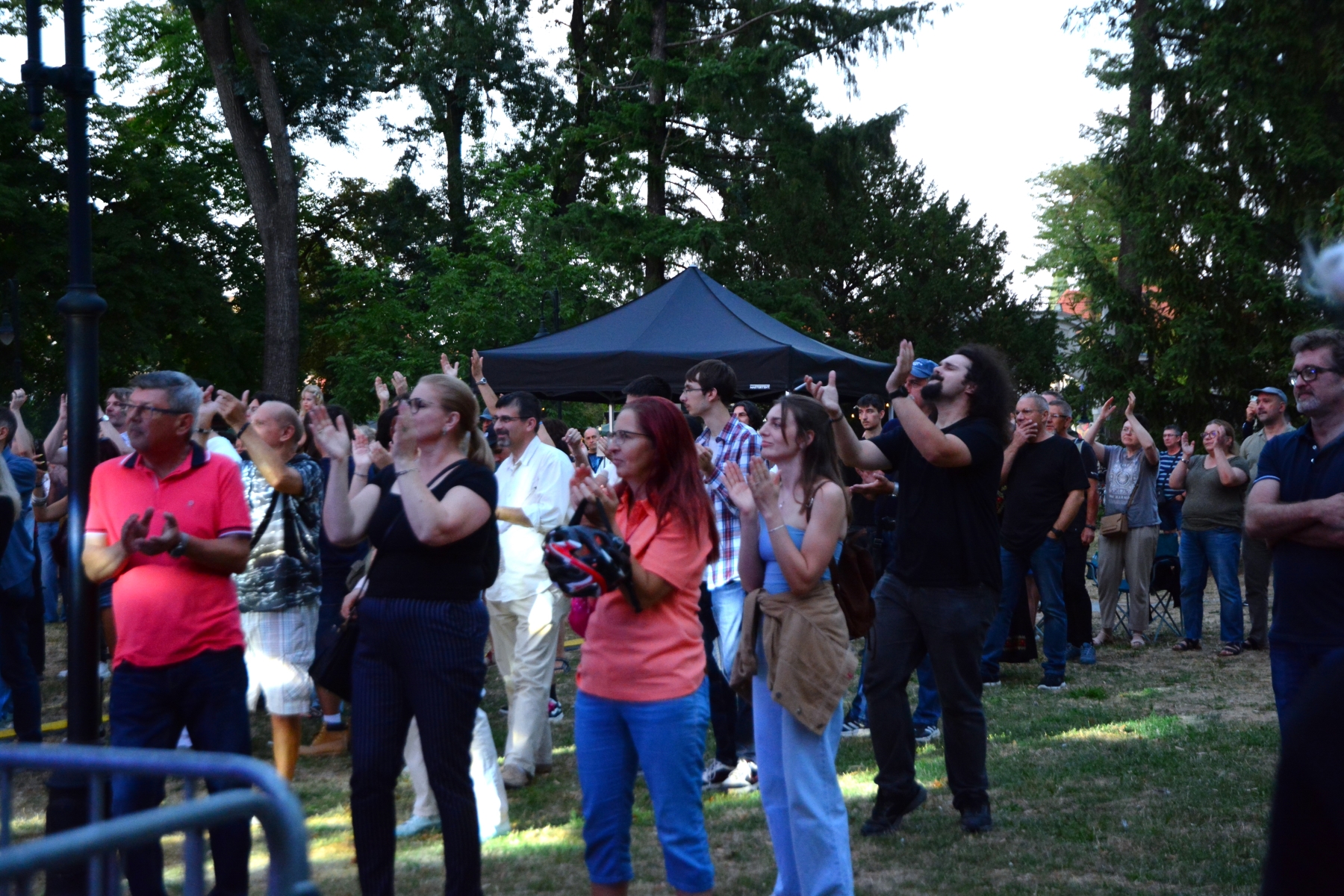 Concert Celelalte Cuvinte la Muzeul Ţării Crişurilor, Foto Camelia Buşu (29)