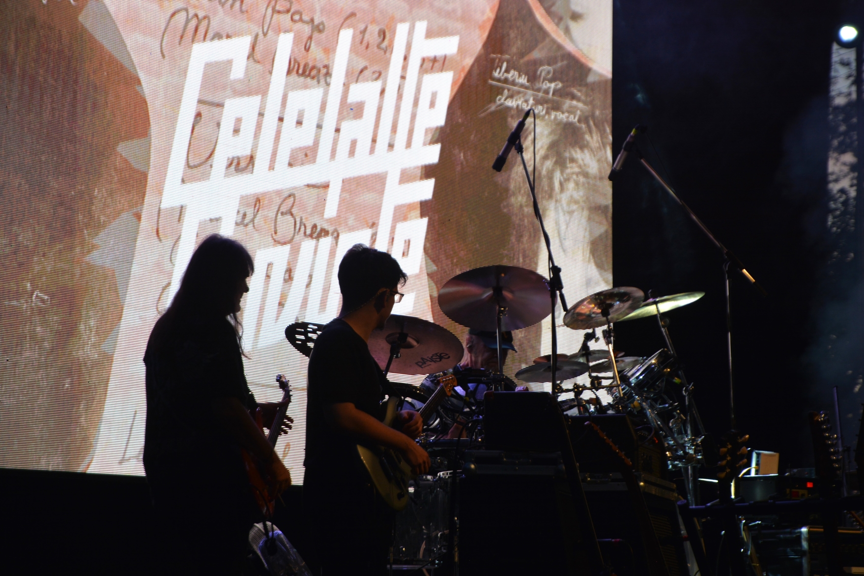 Concert Celelalte Cuvinte la Muzeul Ţării Crişurilor, Foto Camelia Buşu (34)