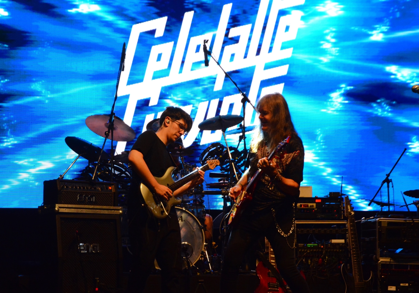 Concert Celelalte Cuvinte la Muzeul Ţării Crişurilor, Foto Camelia Buşu (43)