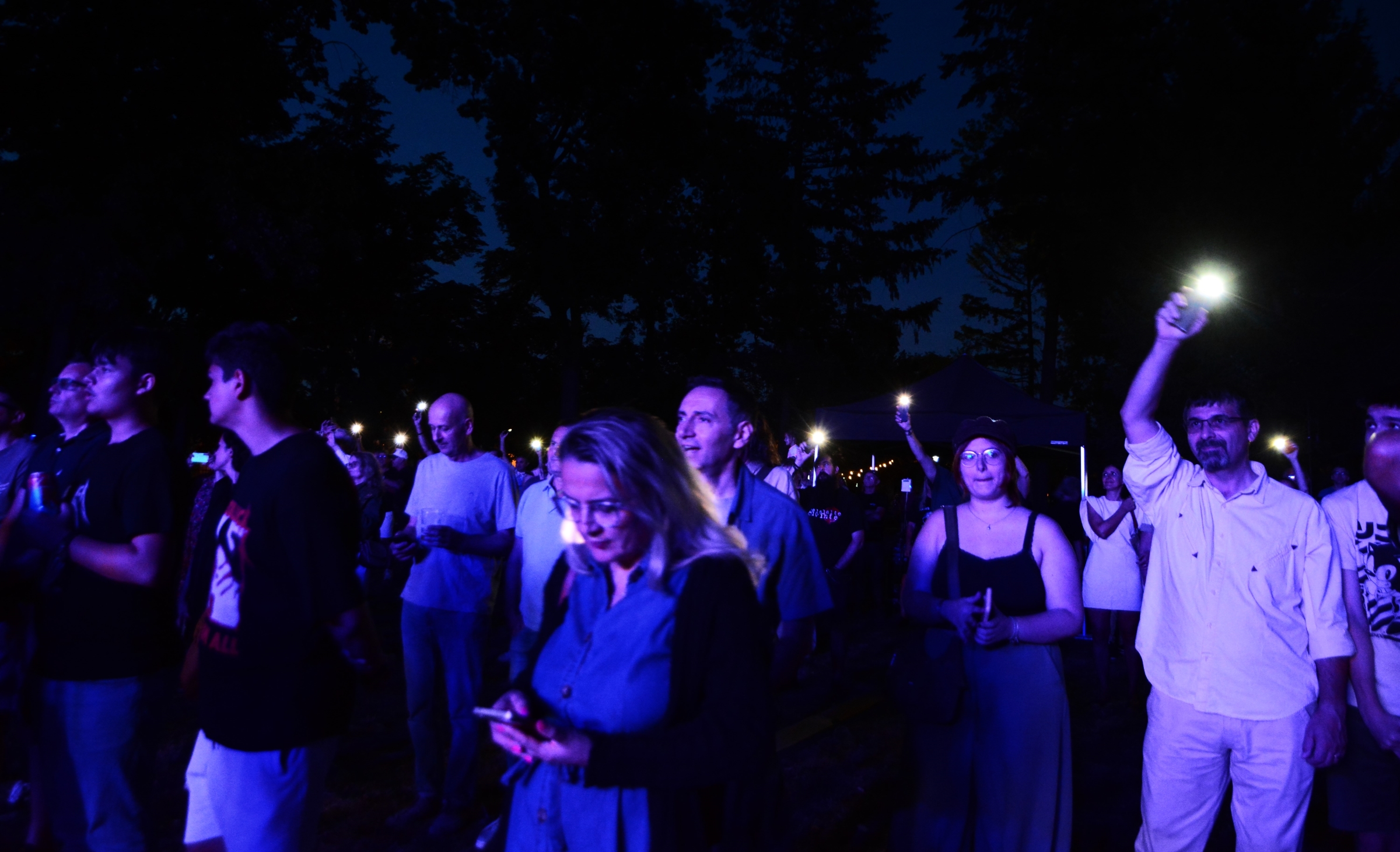 Concert Celelalte Cuvinte la Muzeul Ţării Crişurilor, Foto Camelia Buşu (48)