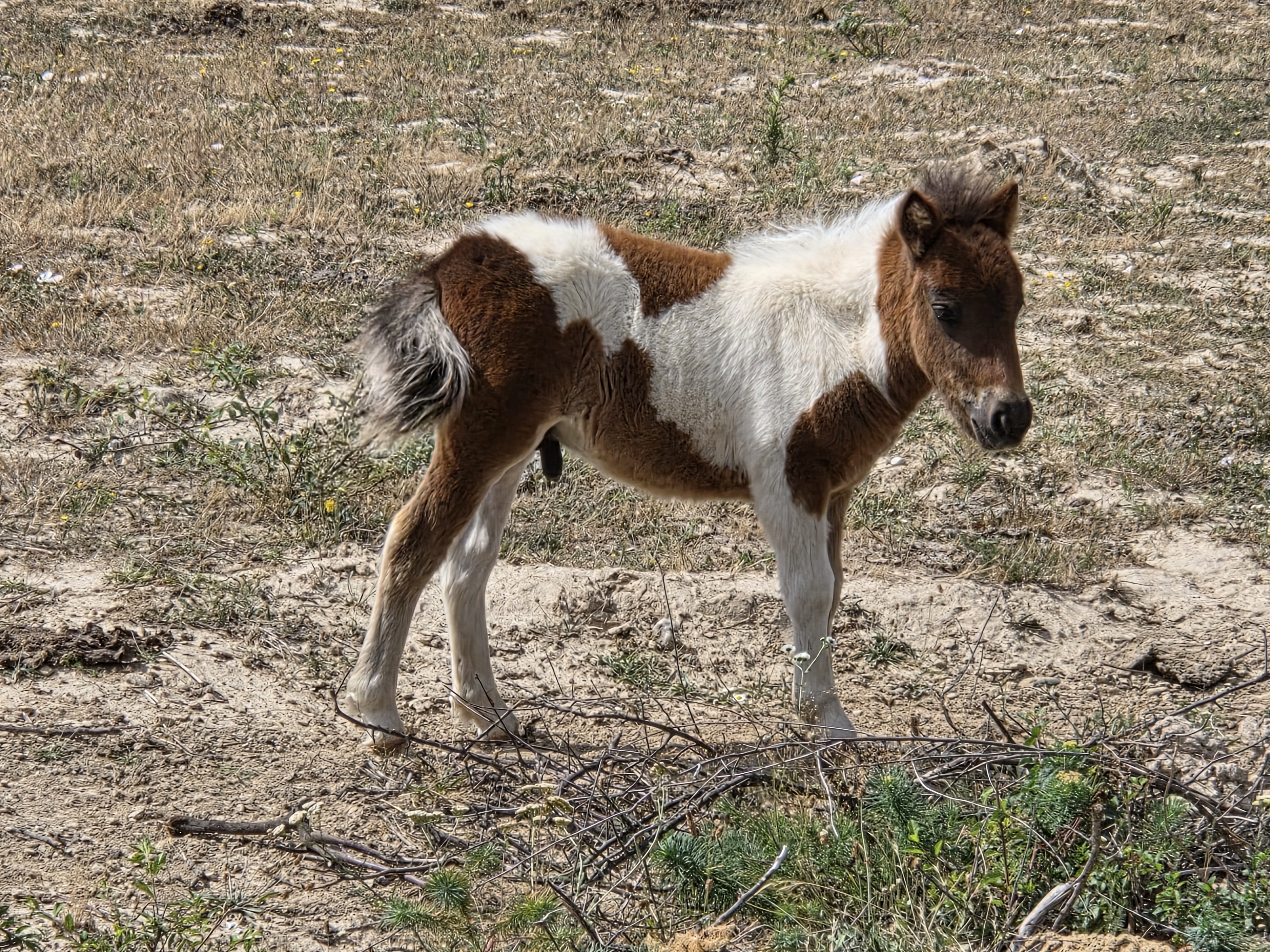 20260722_112618