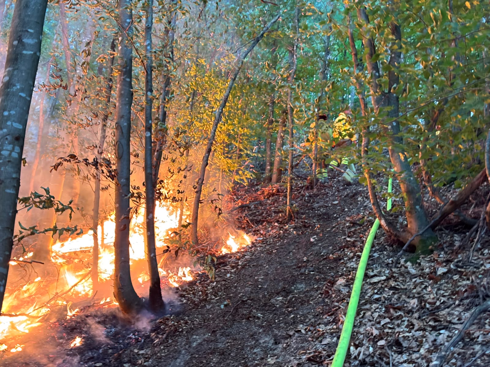 incendiu-pompieri-teren-agricol-pasuni-vegetatie-paduri