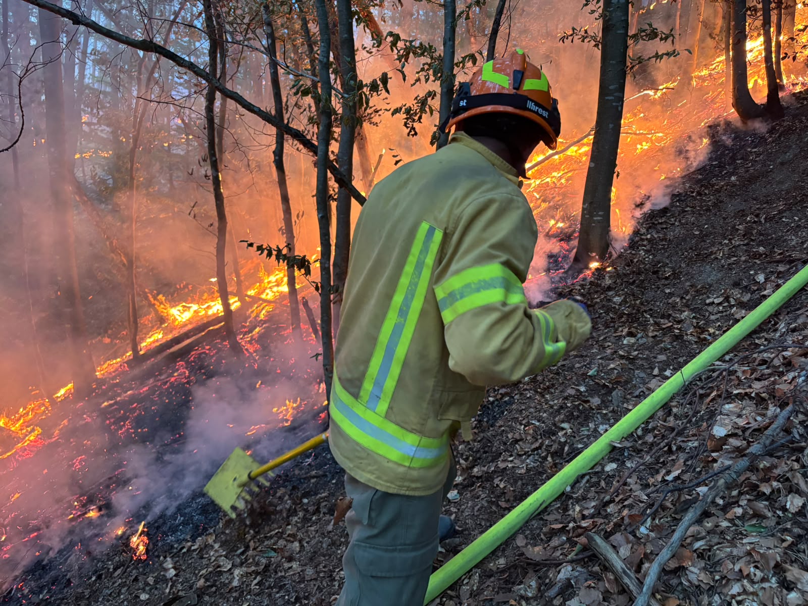 incendiu-pompieri-teren-agricol-pasuni-vegetatie-paduri