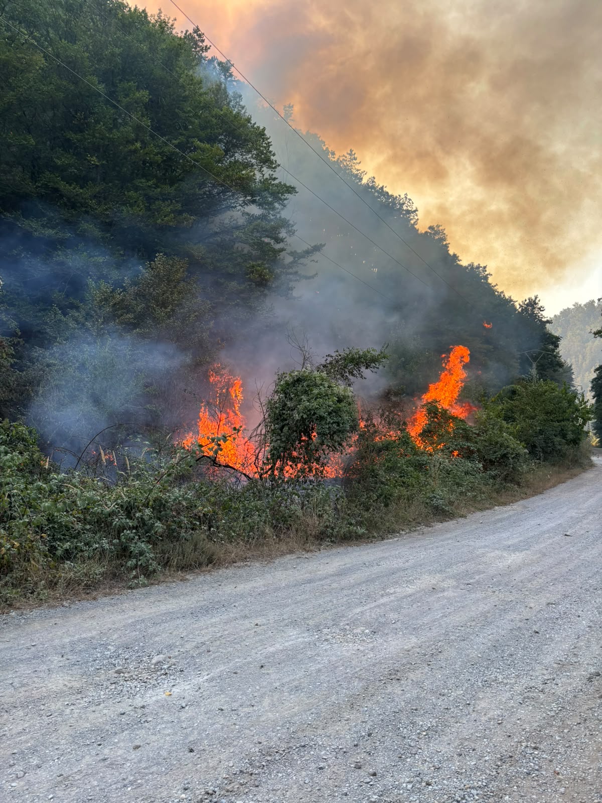 incendiu-pompieri-teren-agricol-pasuni-vegetatie-paduri