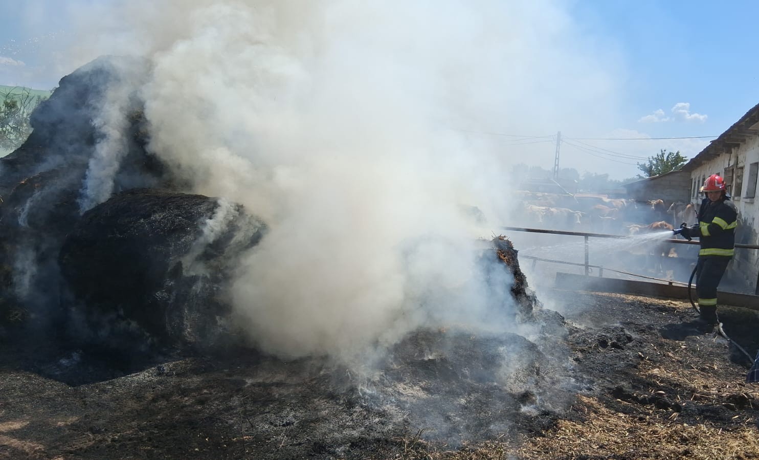 incendiu-pompieri-teren-agricol-pasuni-vegetatie-paduri