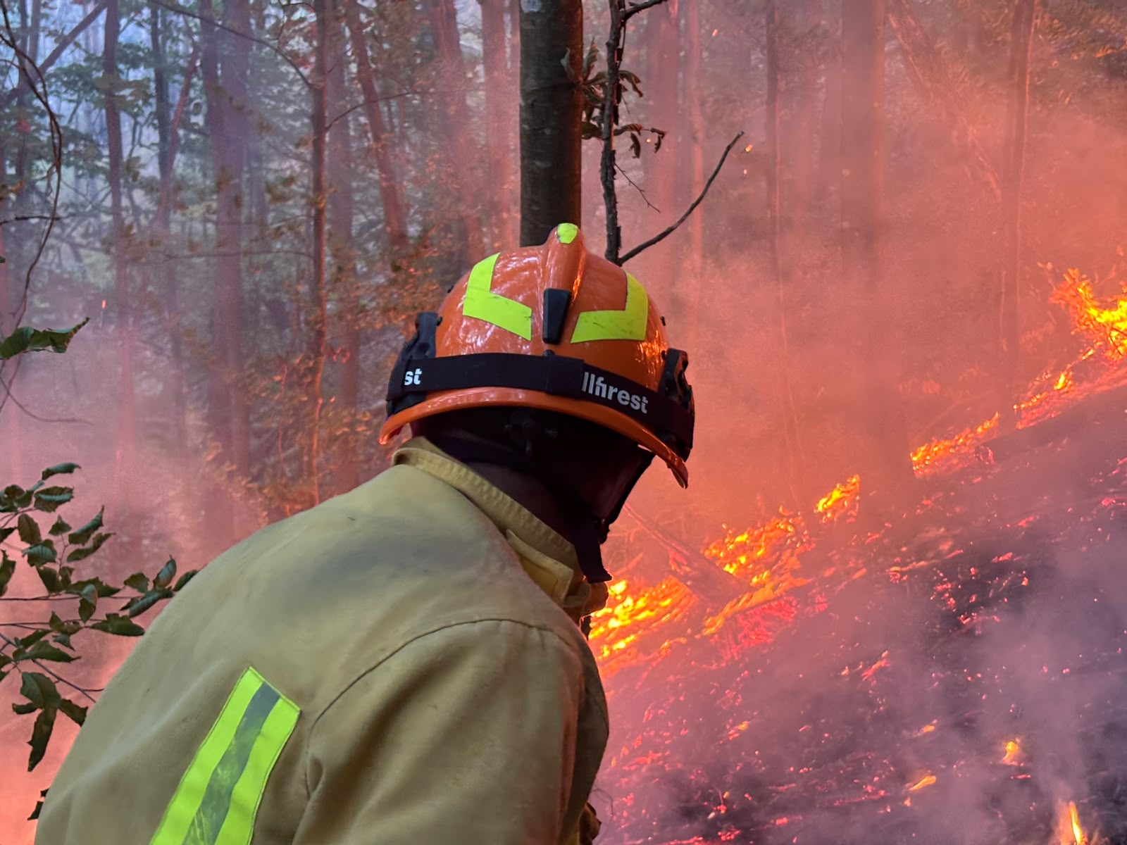 incendiu-pompieri-teren-agricol-pasuni-vegetatie-paduri