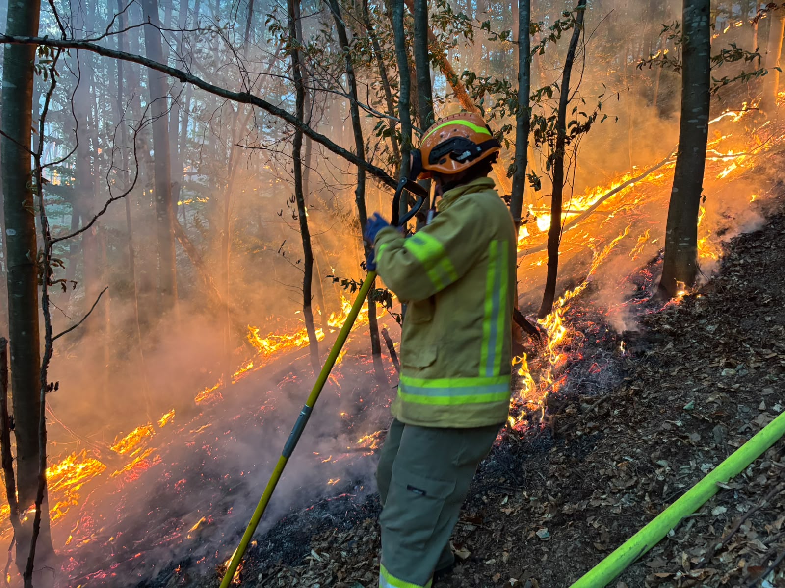 incendiu-pompieri-teren-agricol-pasuni-vegetatie-paduri