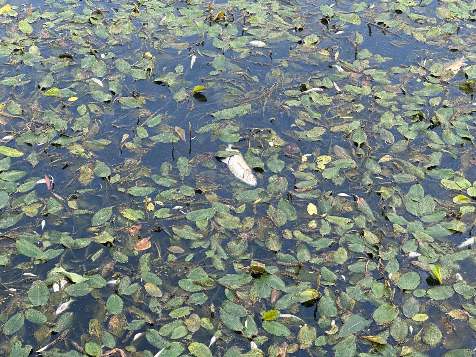 4c28253a-ee6f-49be-bfe1-834b49c8b50f