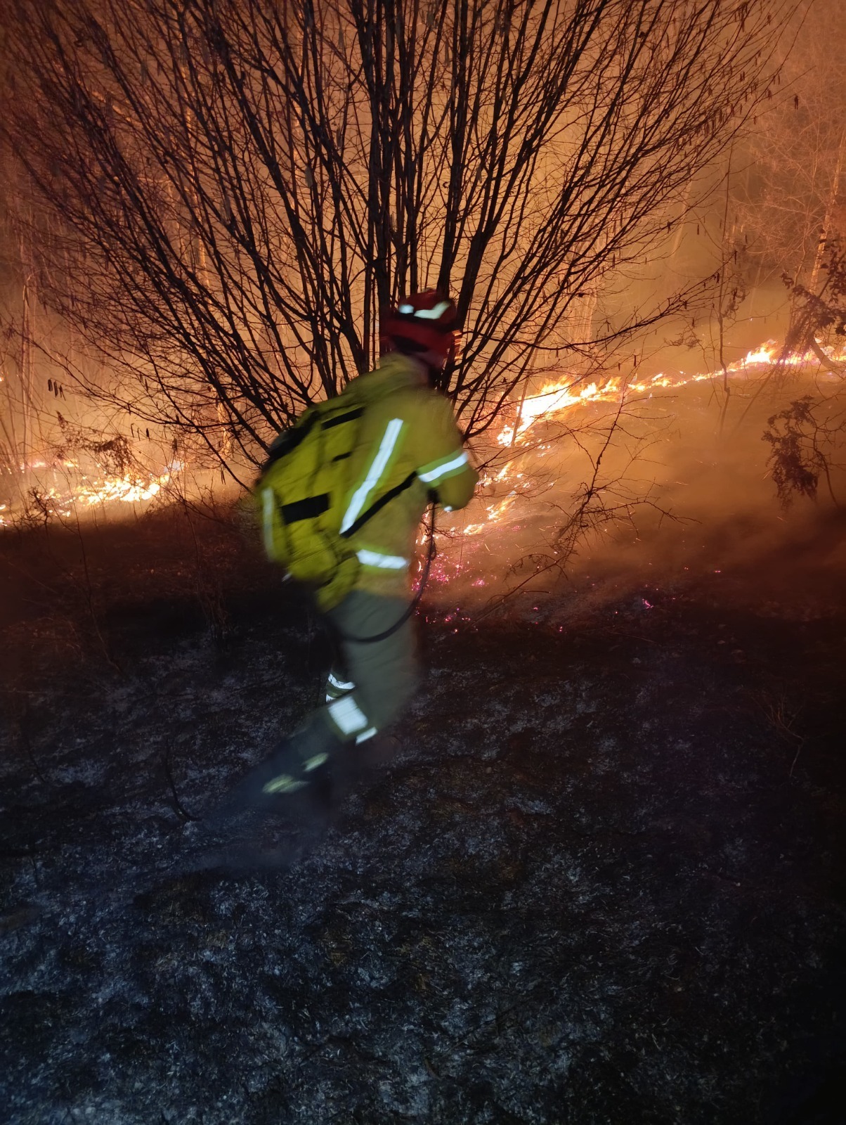 incendii (4)