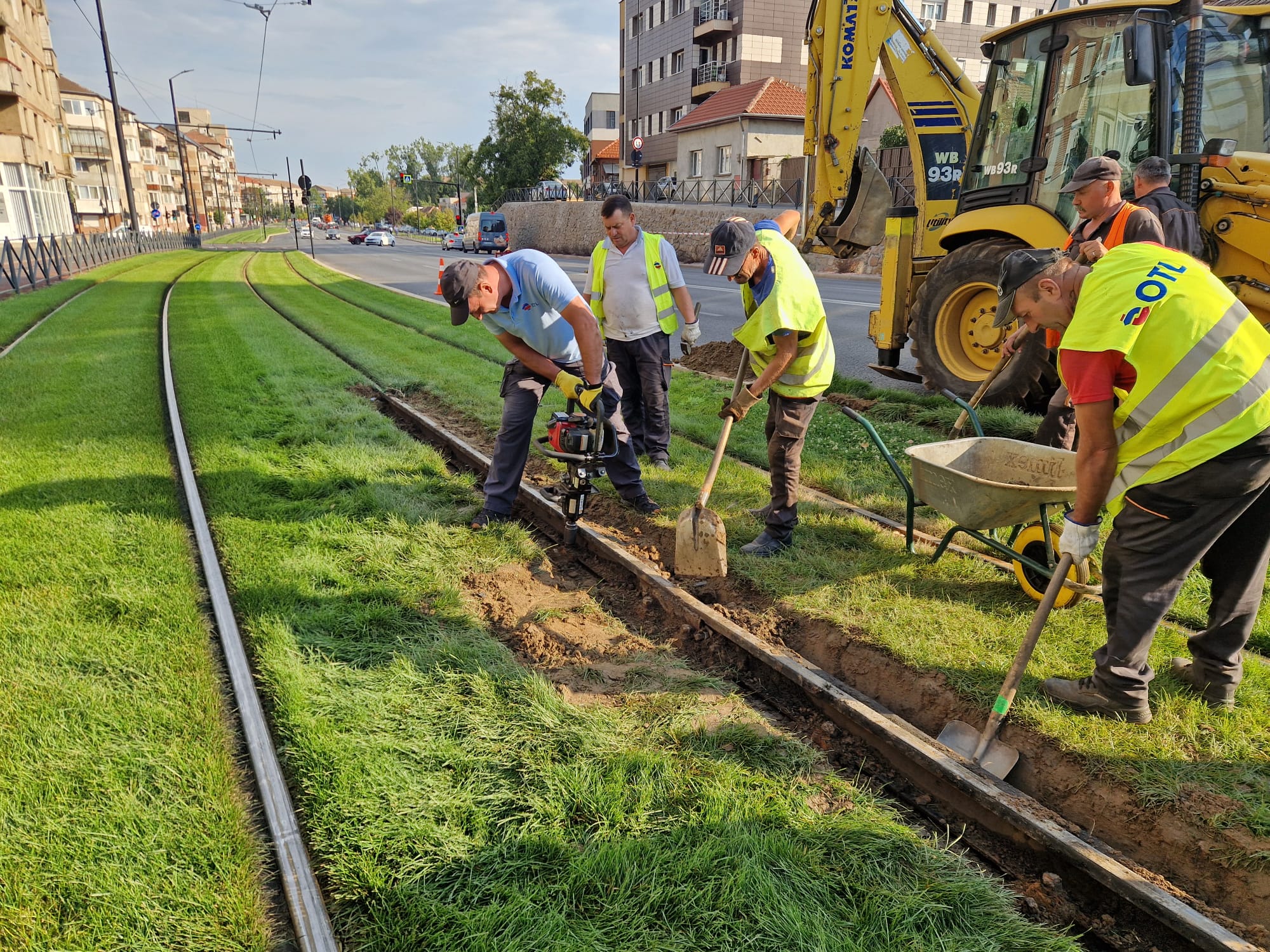 lucrari-nufarul (6)