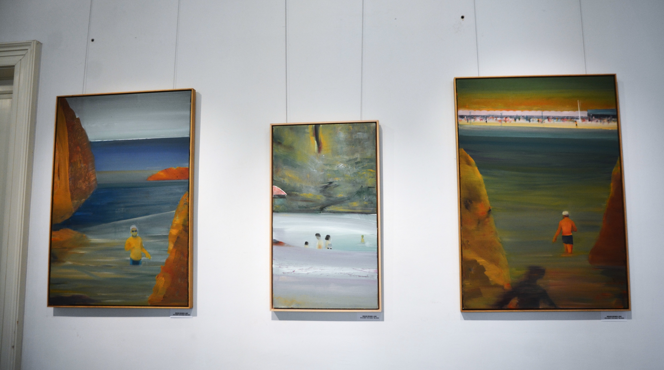 Expoziţie Ioan Aurel Mureşan (1)