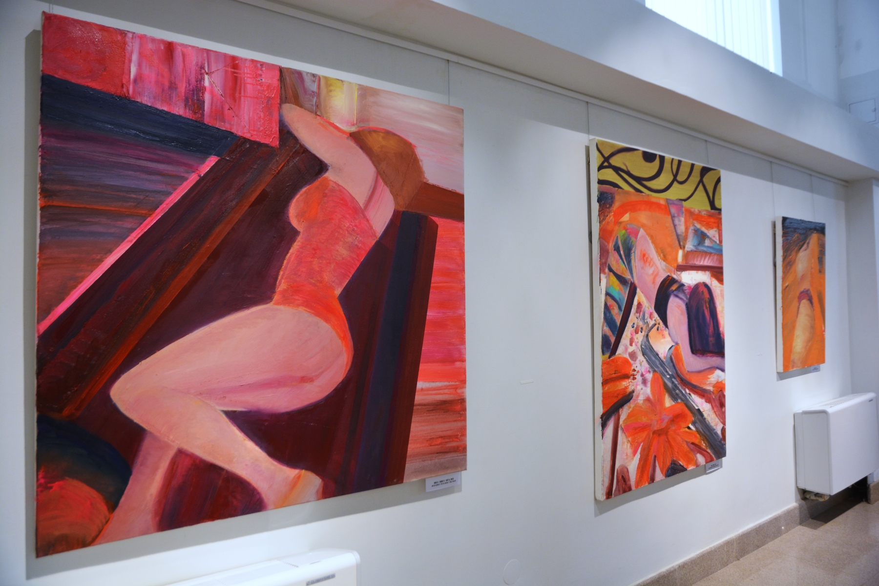 Expoziţie Ioan Aurel Mureşan (16)