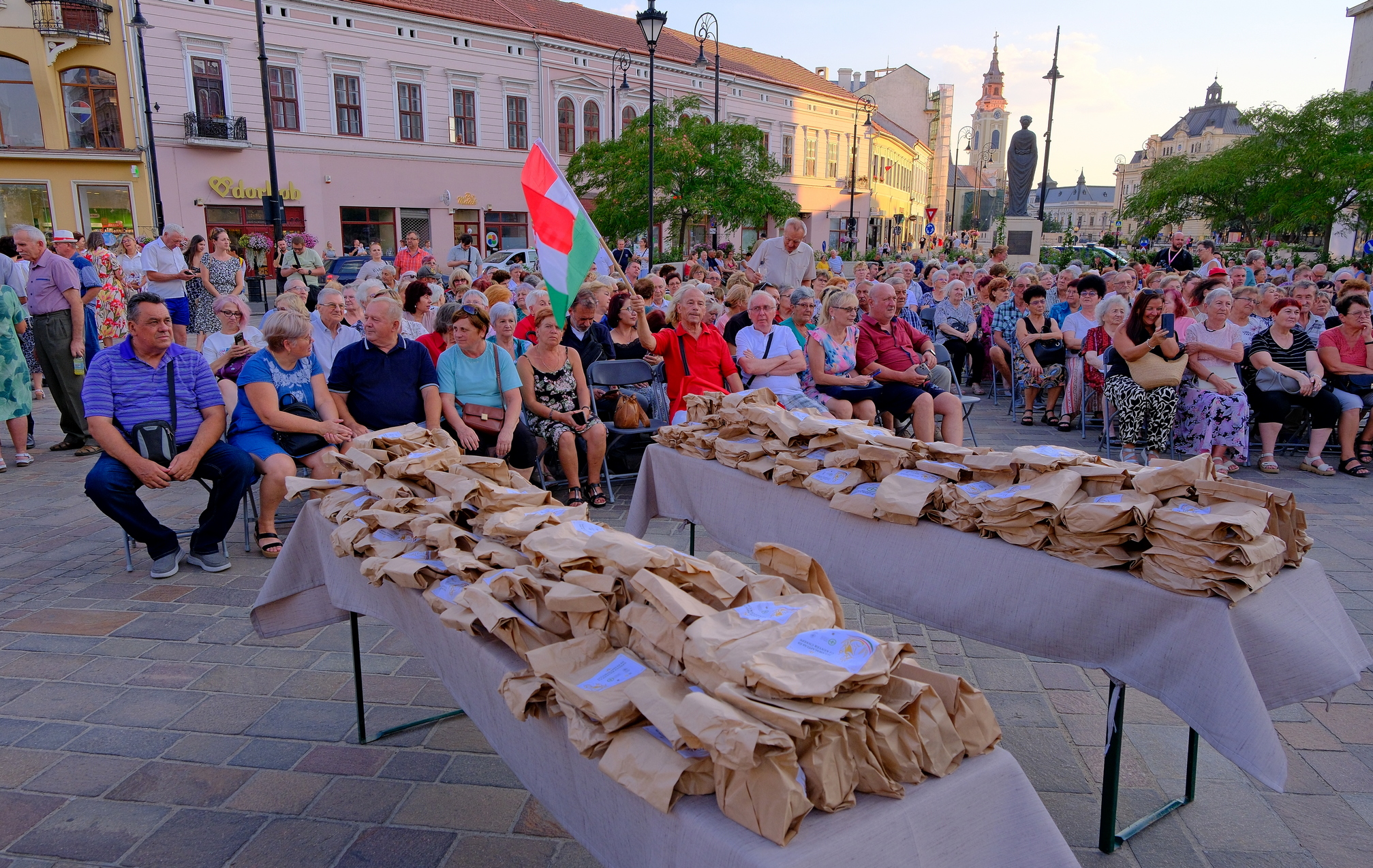 Zilele Culturii Maghiare Foto Niţescu (1)