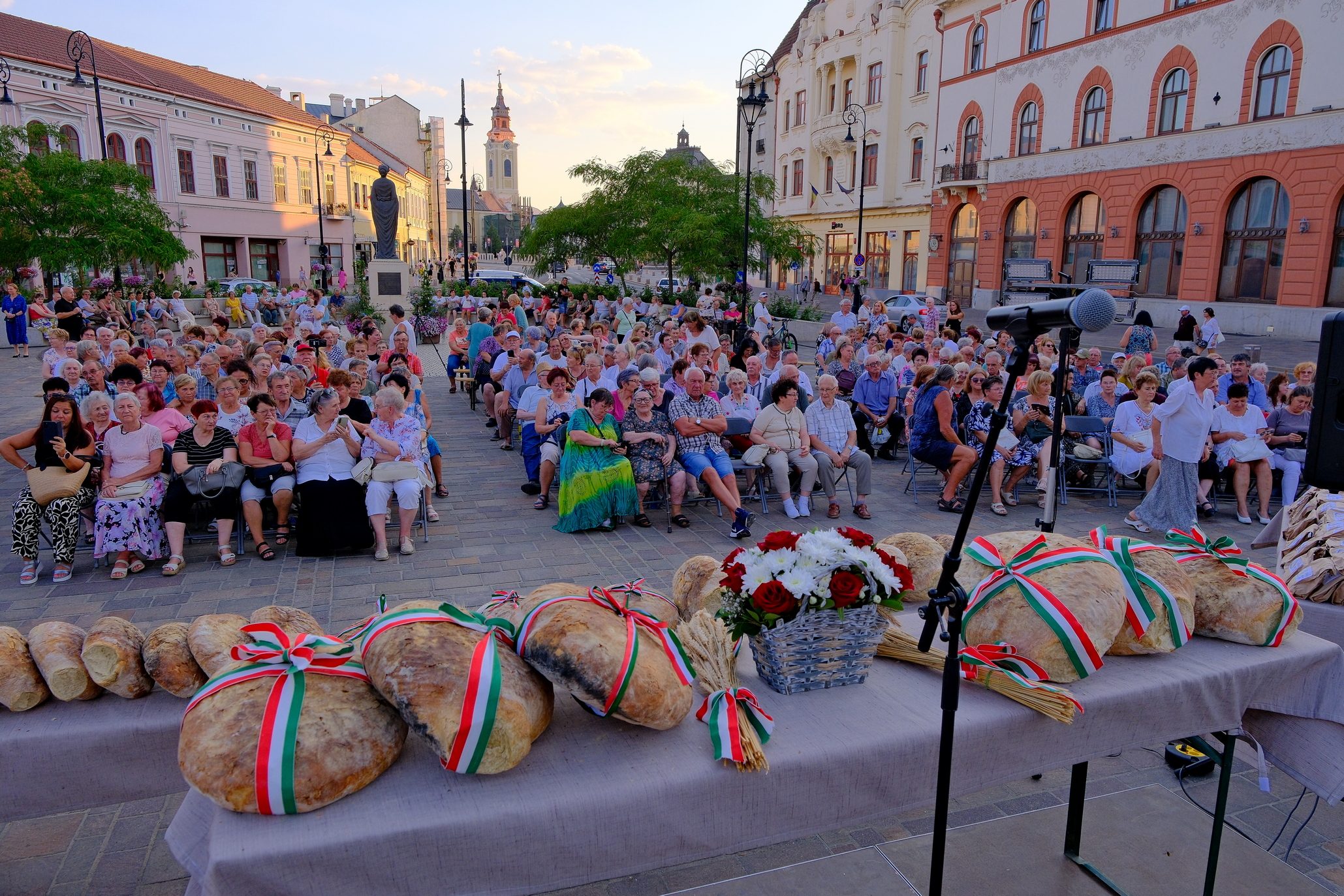 Zilele Culturii Maghiare Foto Niţescu (10)
