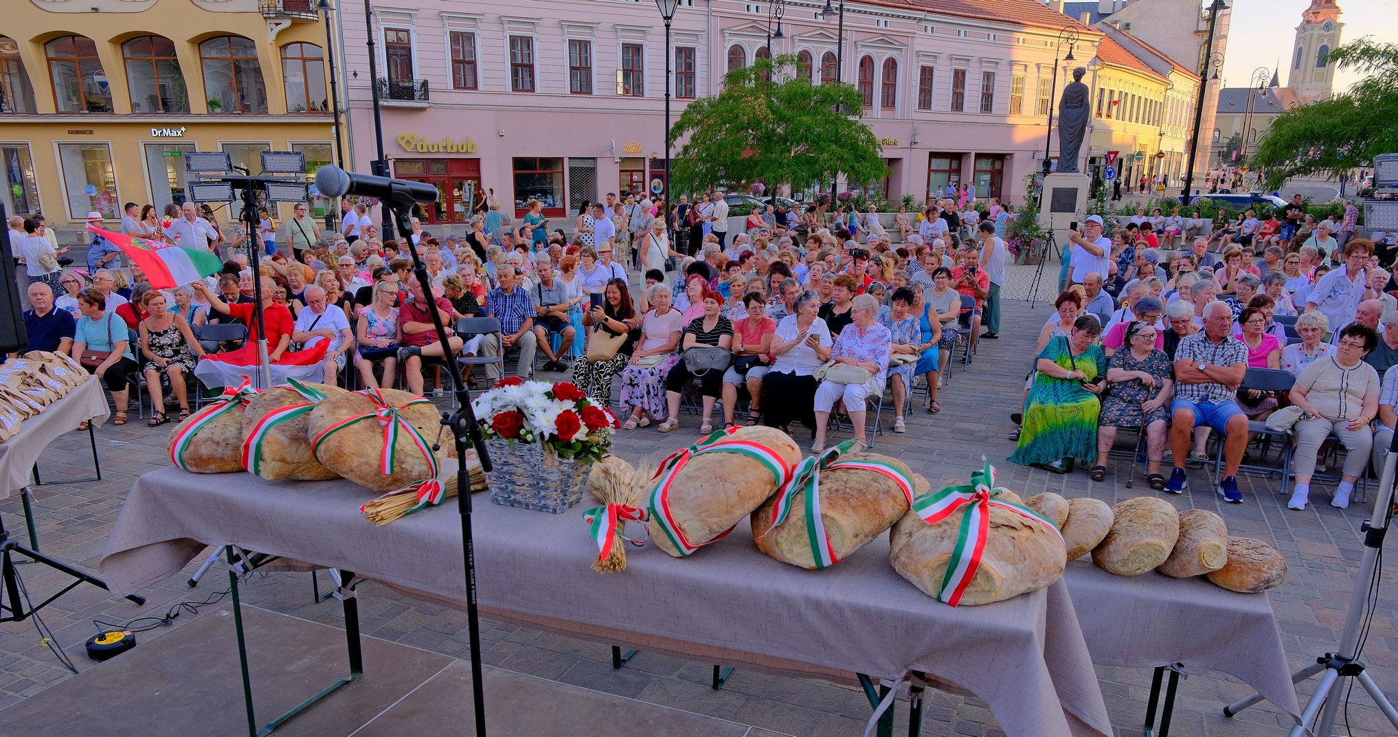 Zilele Culturii Maghiare Foto Niţescu (11)