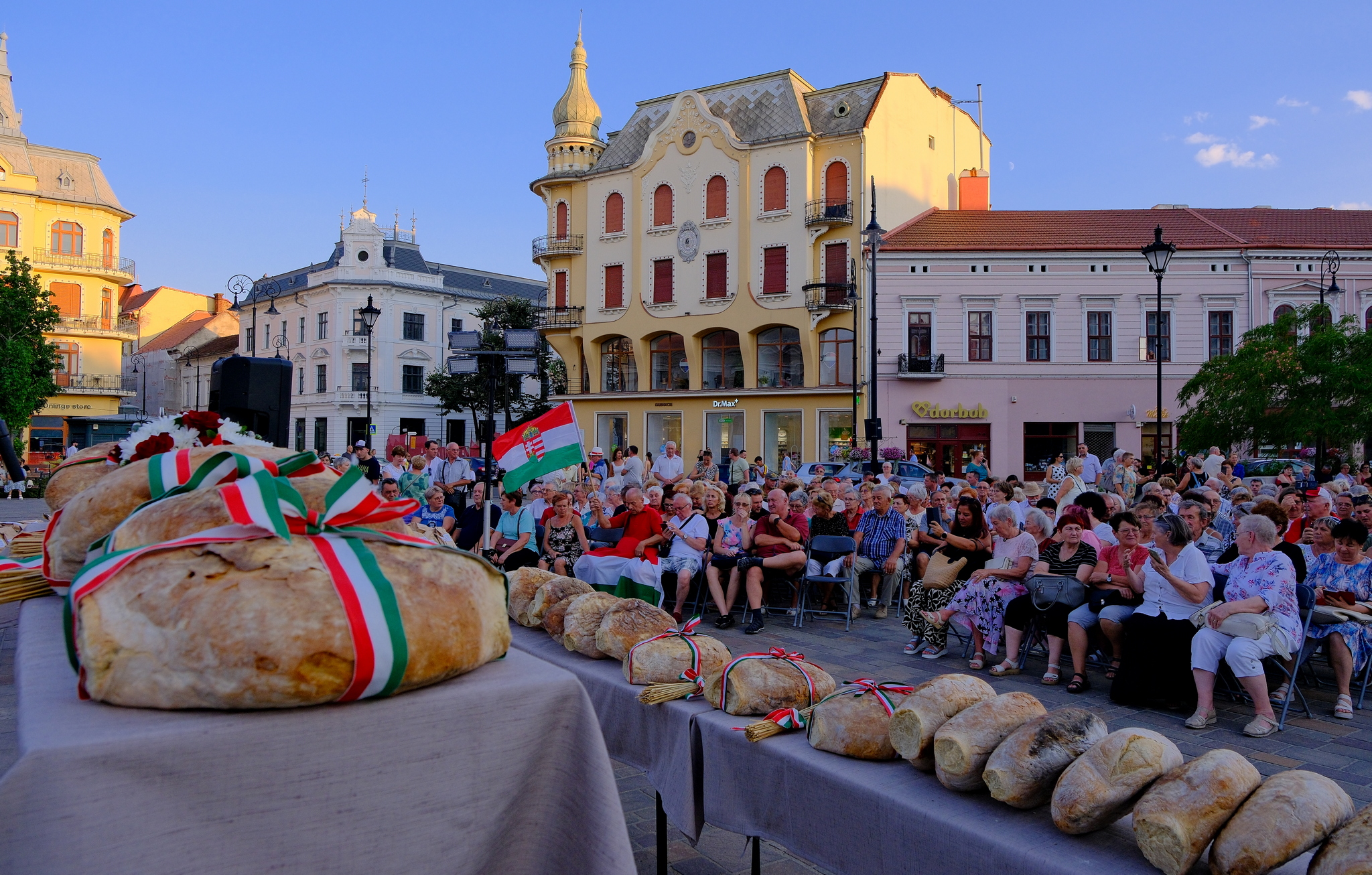 Zilele Culturii Maghiare Foto Niţescu (12)