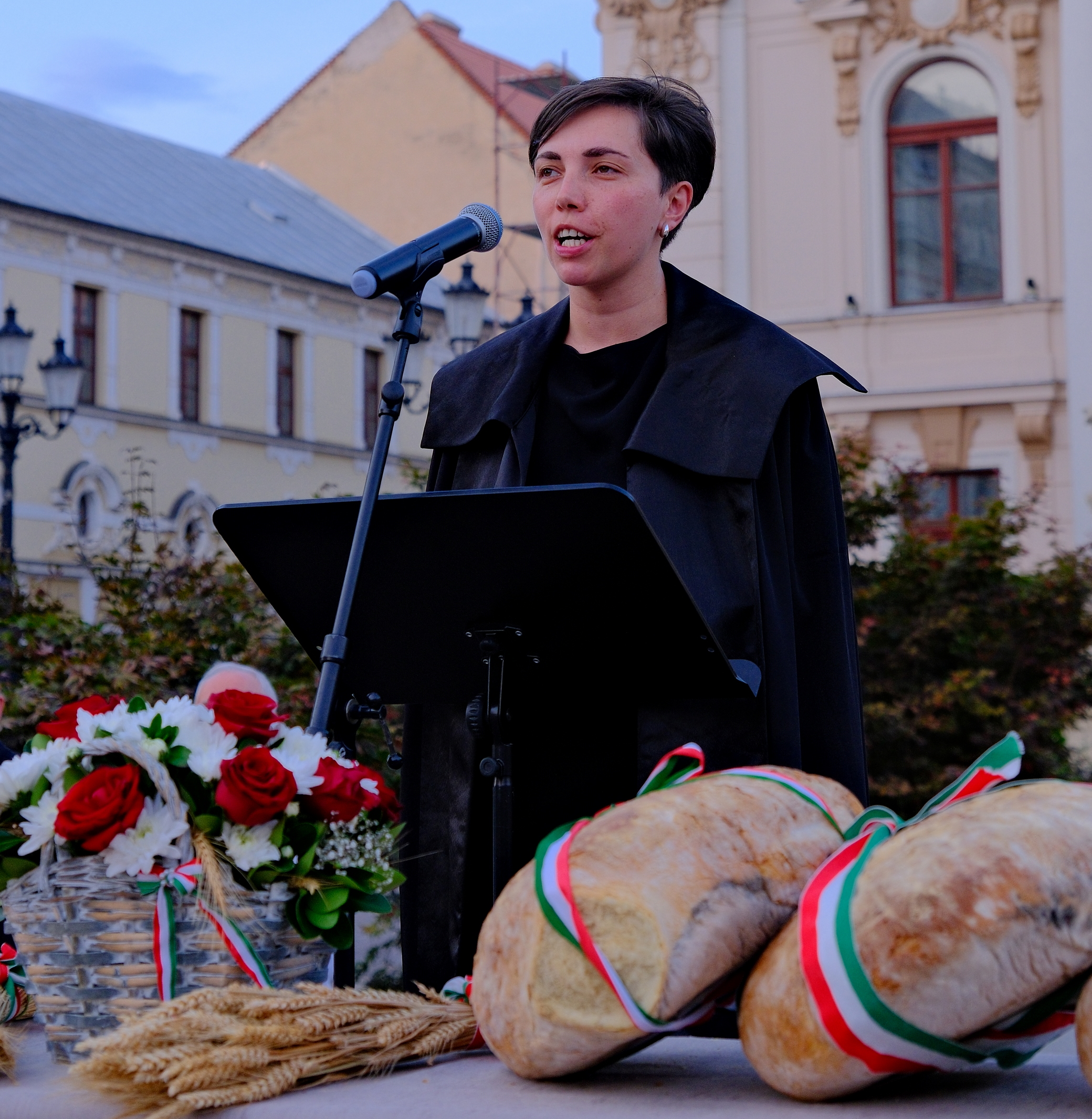 Zilele Culturii Maghiare Foto Niţescu (25)