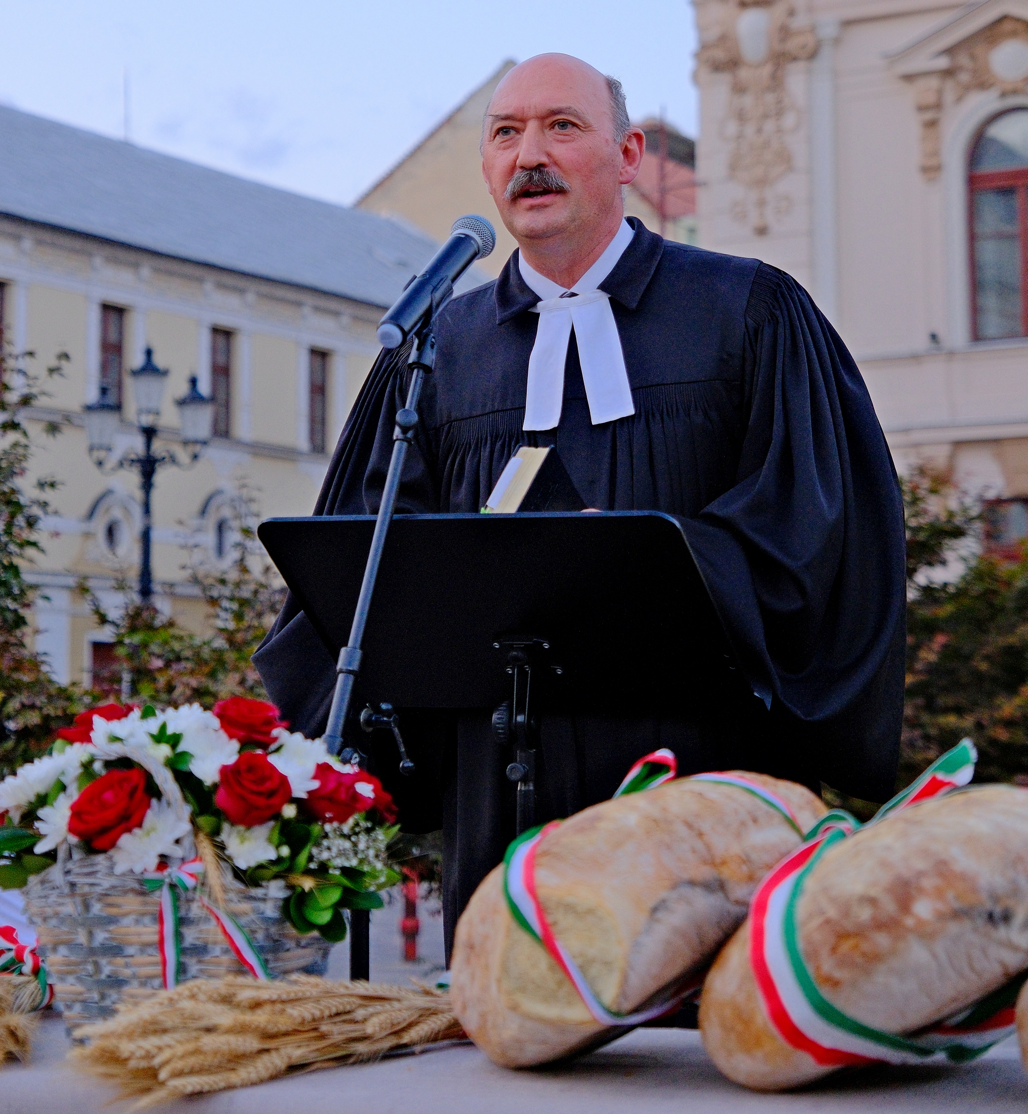 Zilele Culturii Maghiare Foto Niţescu (28)