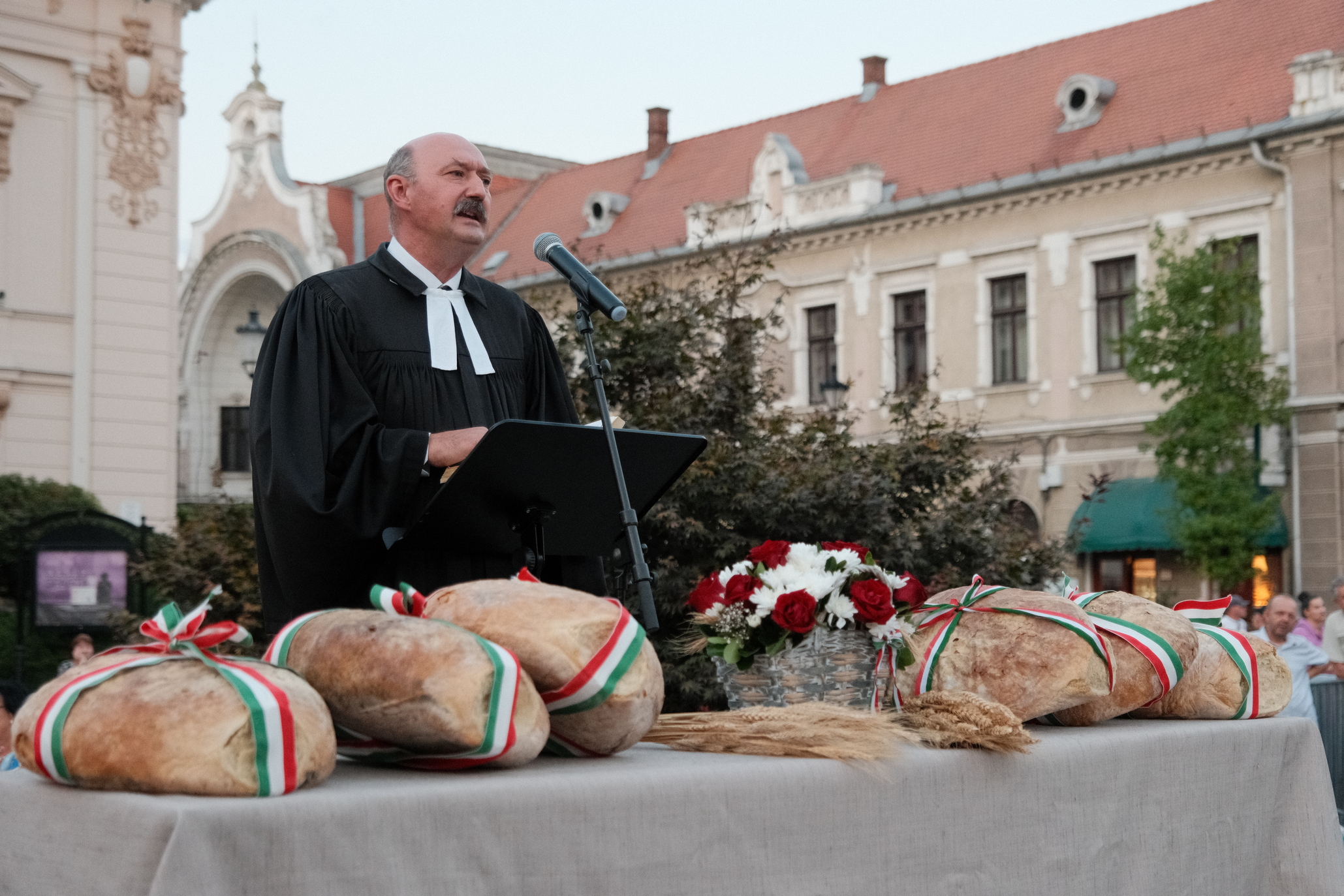 Zilele Culturii Maghiare Foto Niţescu (32)