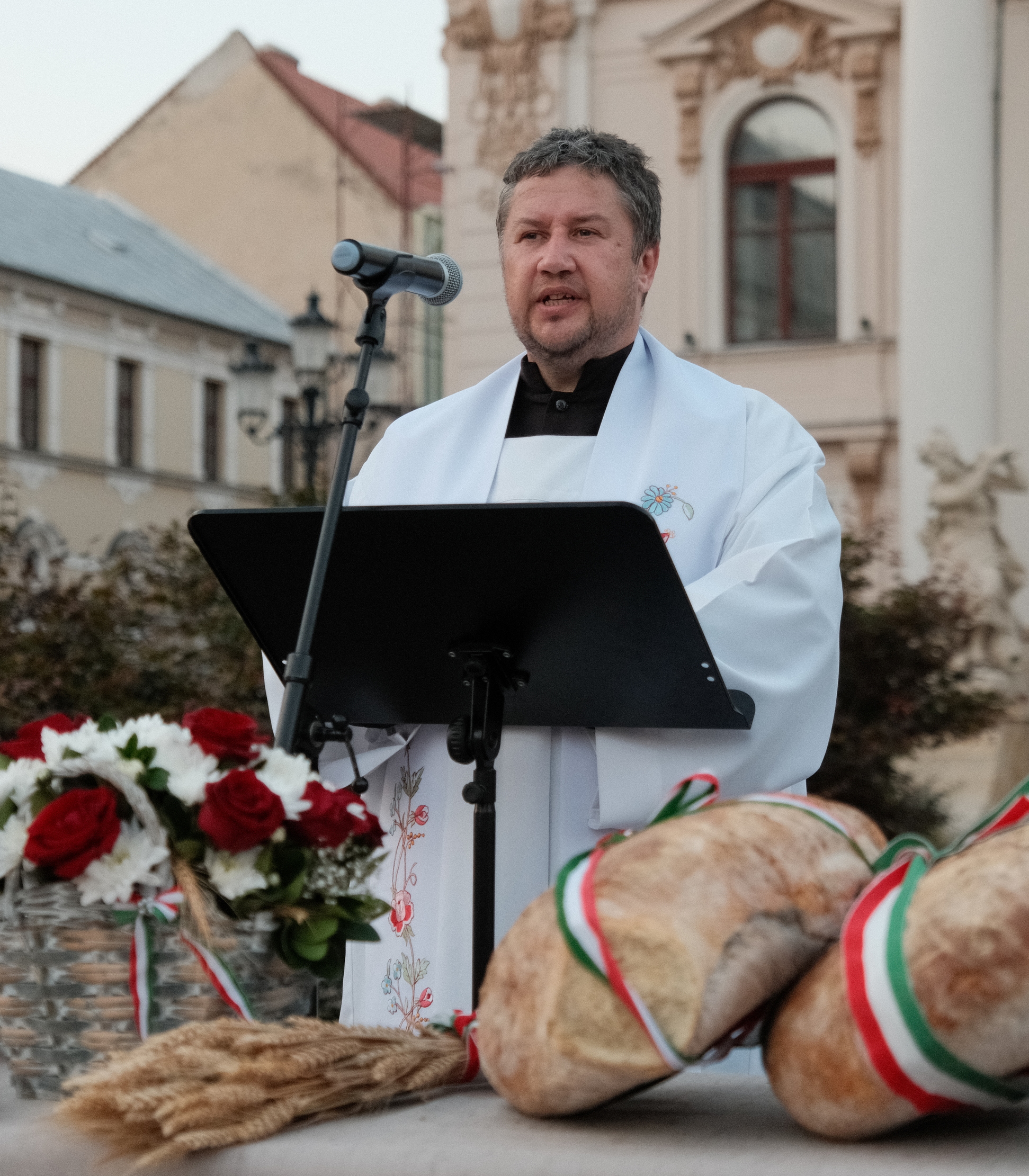 Zilele Culturii Maghiare Foto Niţescu (33)