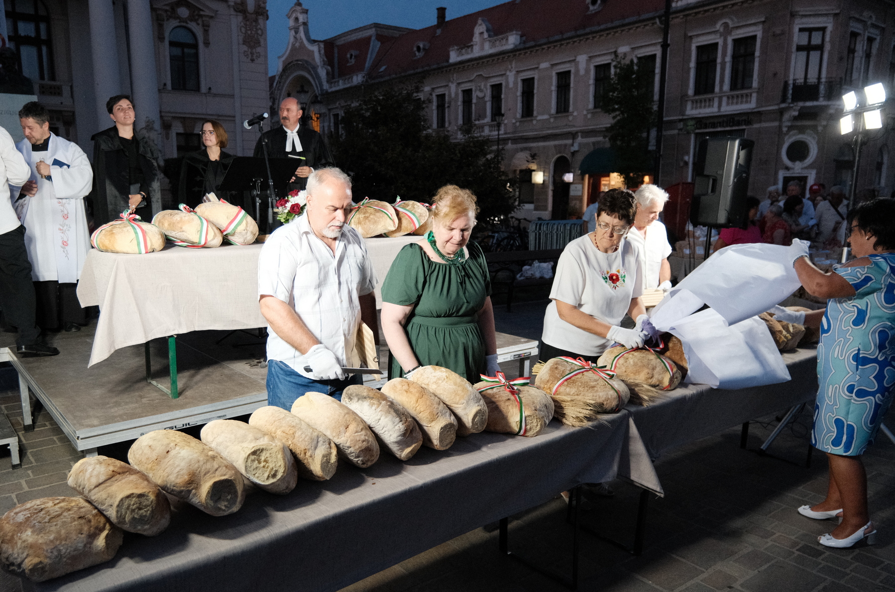 Zilele Culturii Maghiare Foto Niţescu (43)