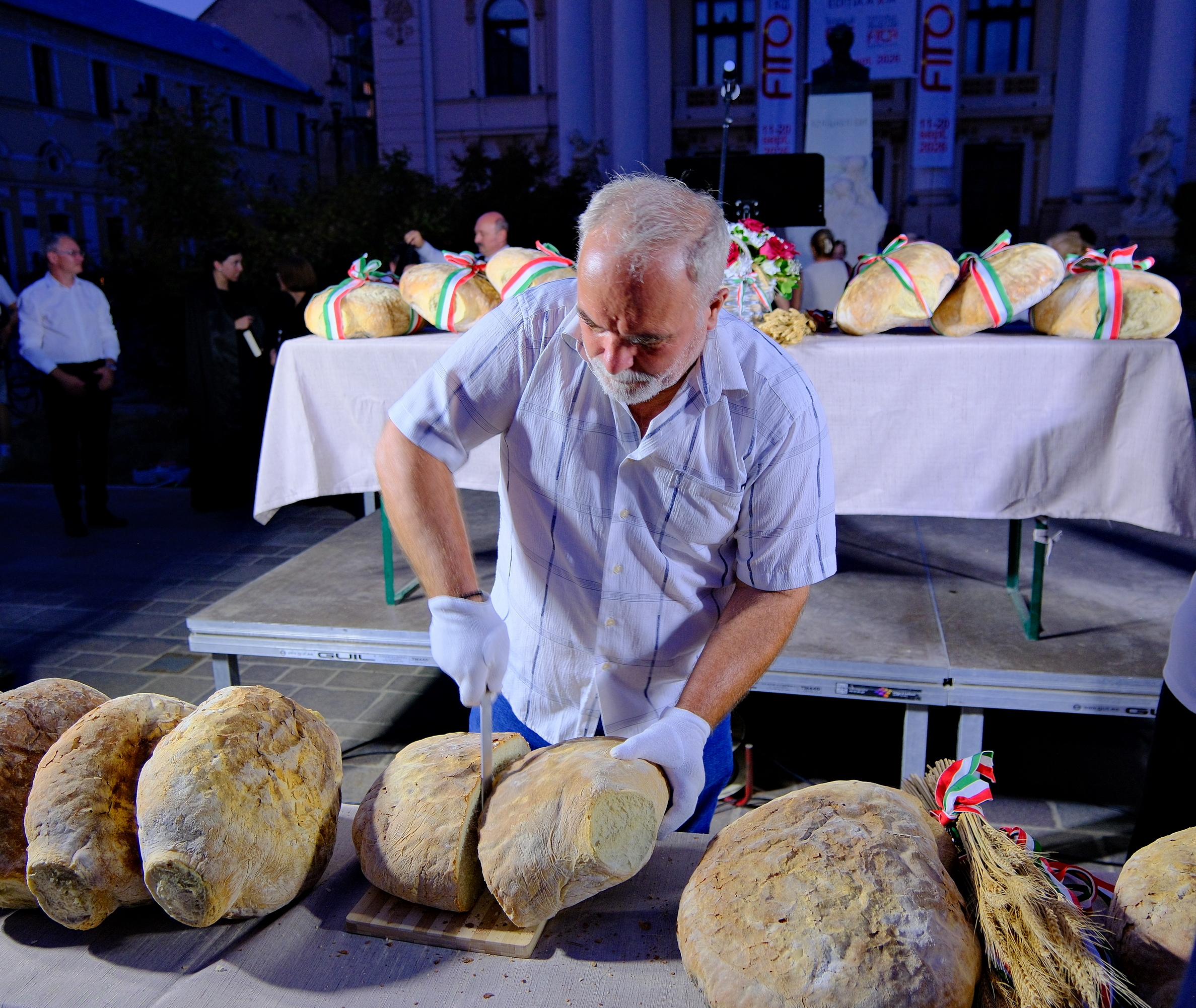 Zilele Culturii Maghiare Foto Niţescu (52)