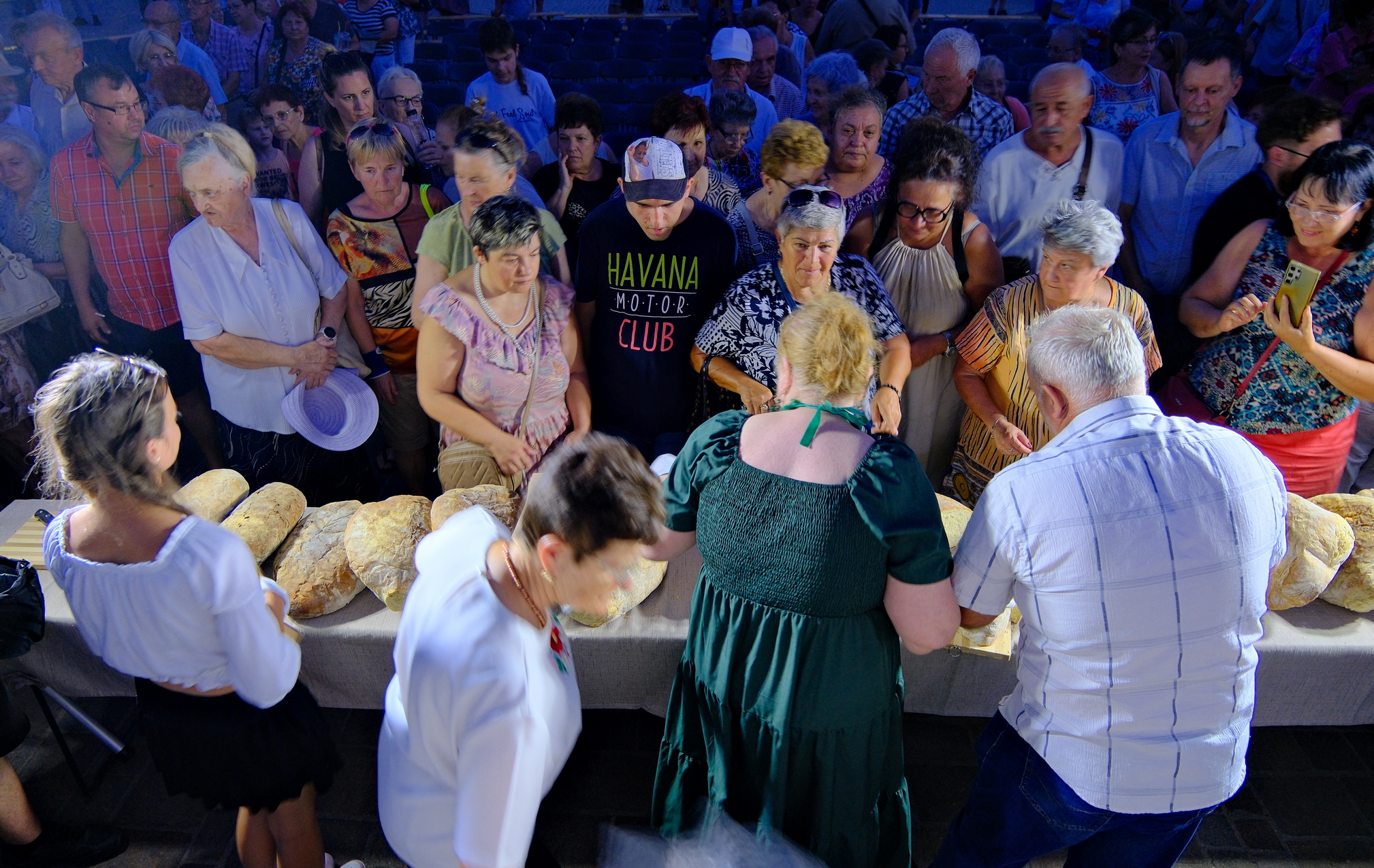 Zilele Culturii Maghiare Foto Niţescu (54)