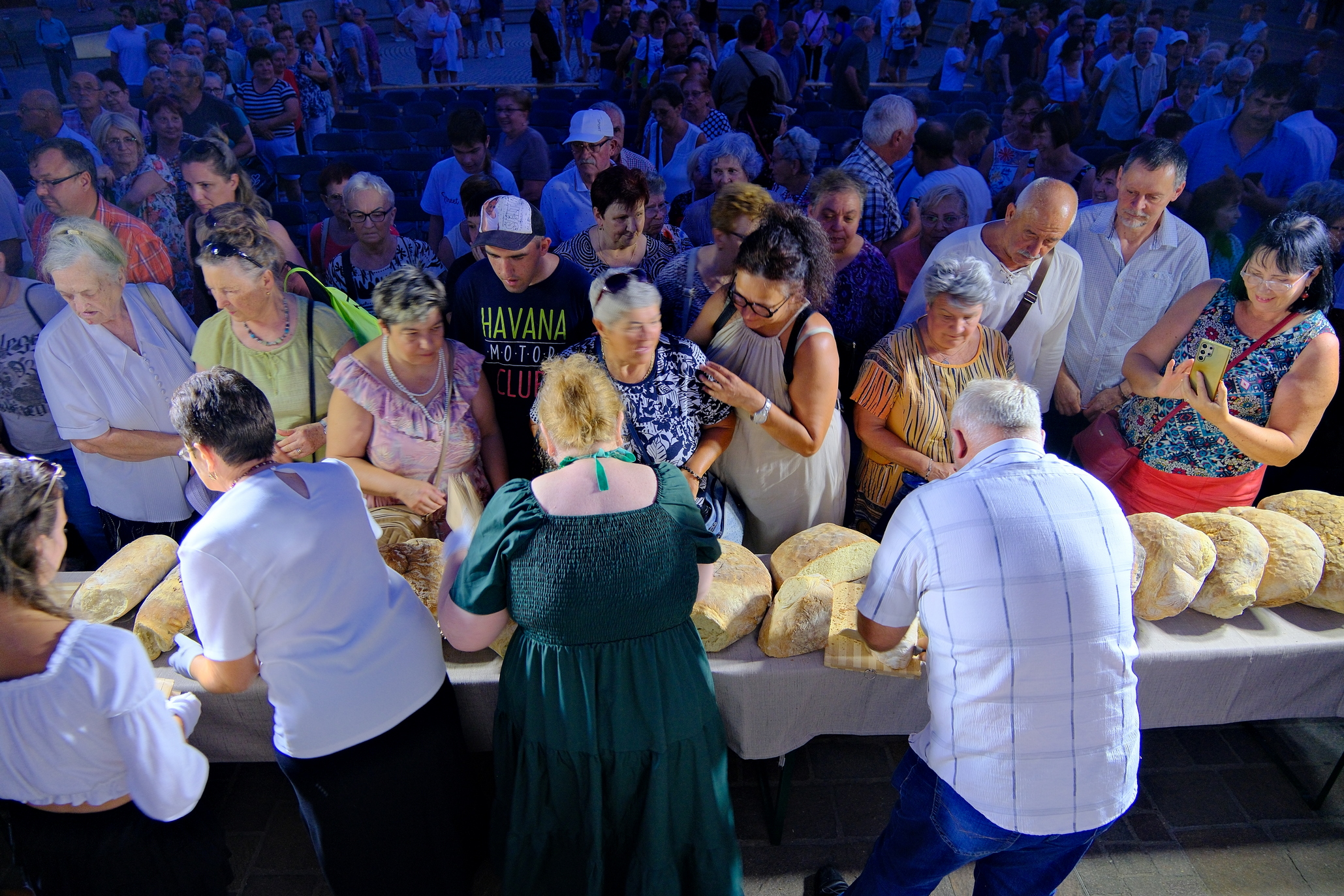 Zilele Culturii Maghiare Foto Niţescu (55)