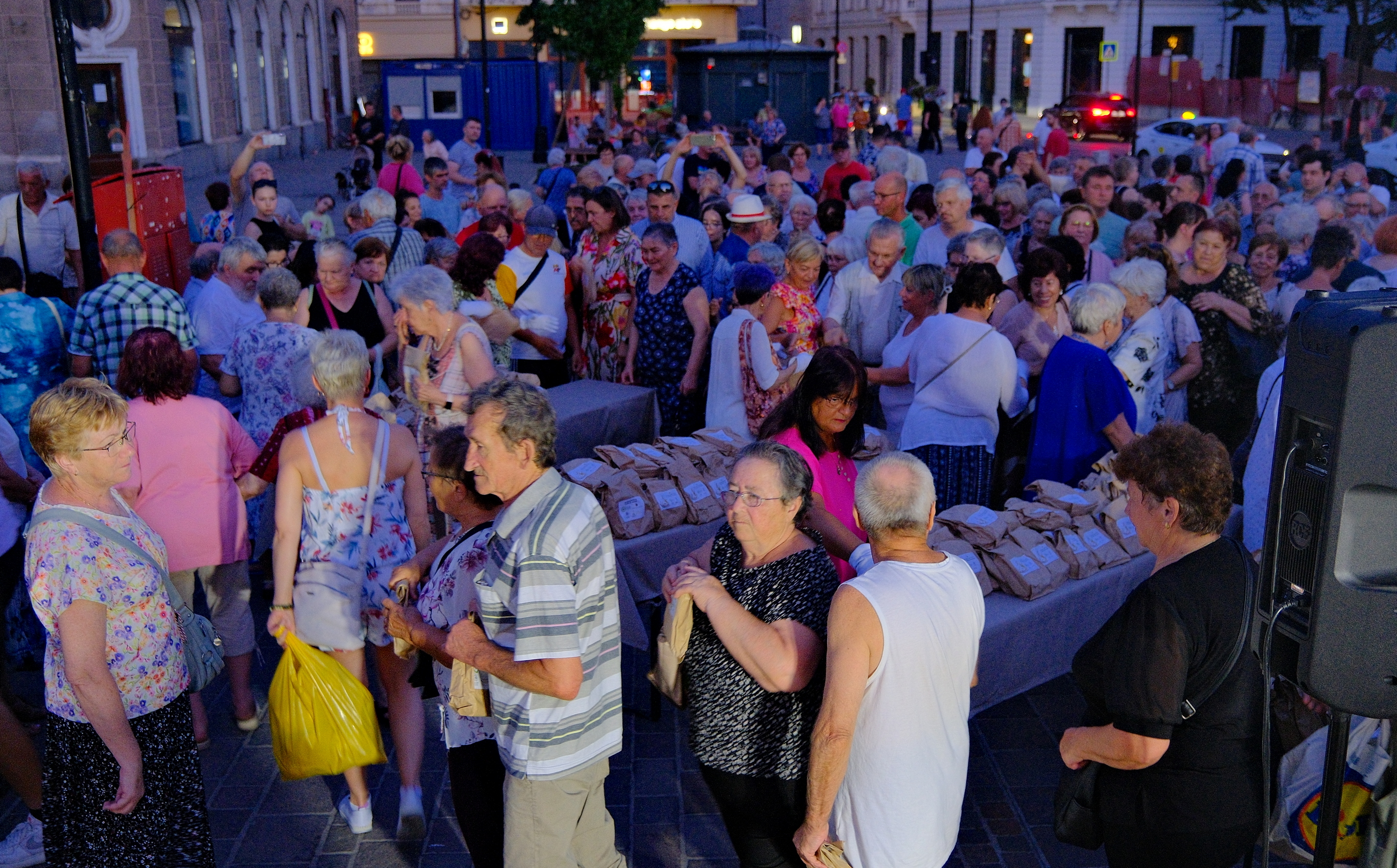 Zilele Culturii Maghiare Foto Niţescu (56)
